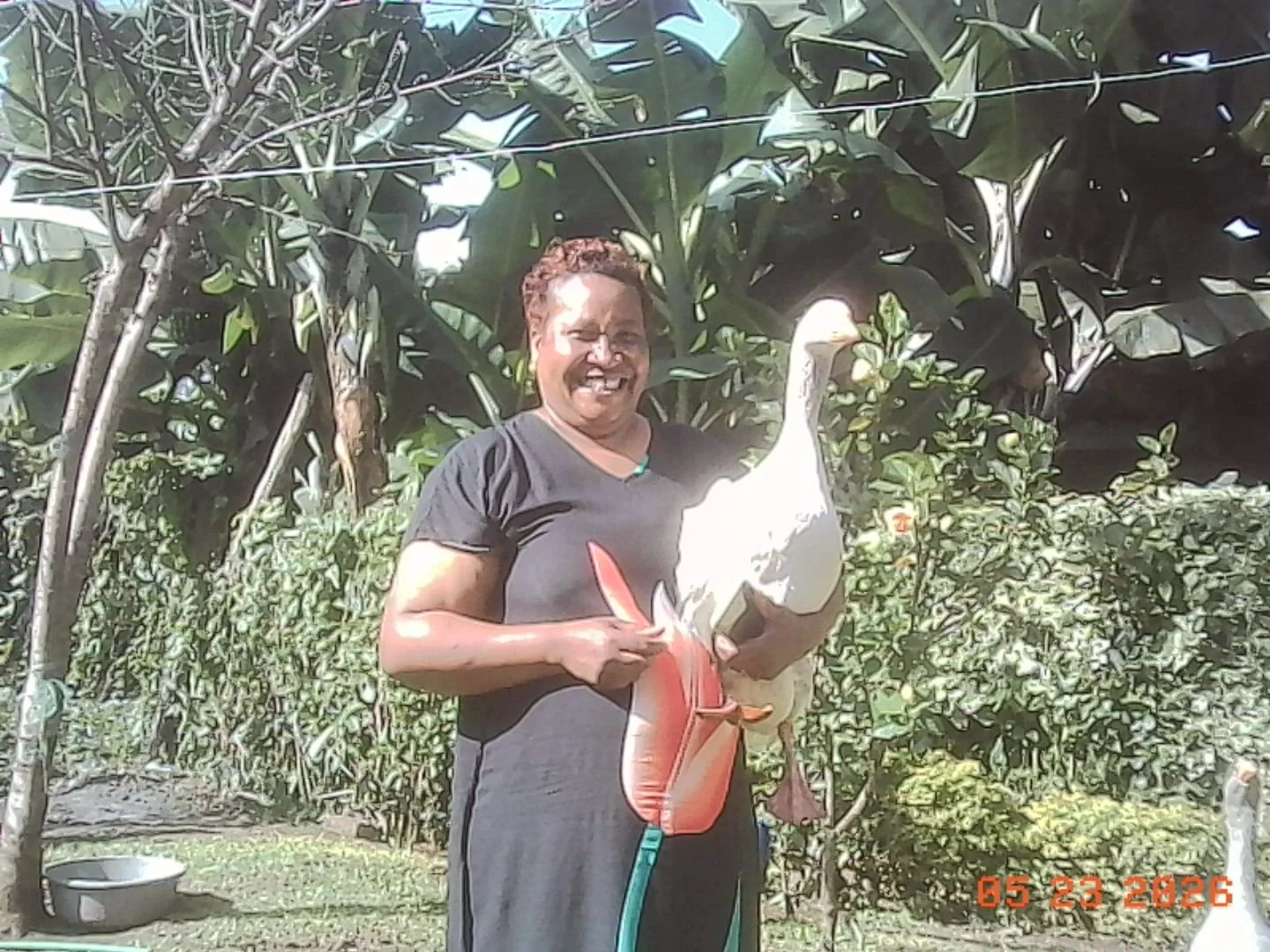 A woman smiling and holding a large white pelican during the daytime, standing outdoors in a garden with lush greenery and trees in the background.