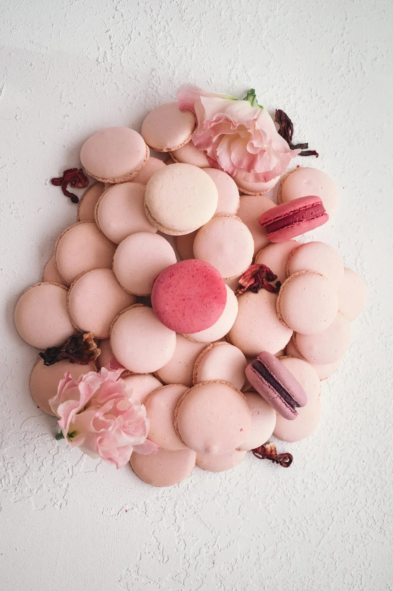 macarons.jpg
