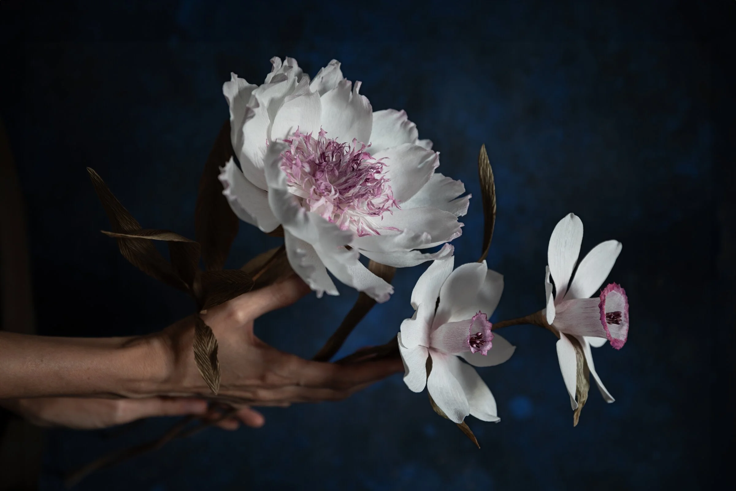 floral-peony-paper-wide.jpg