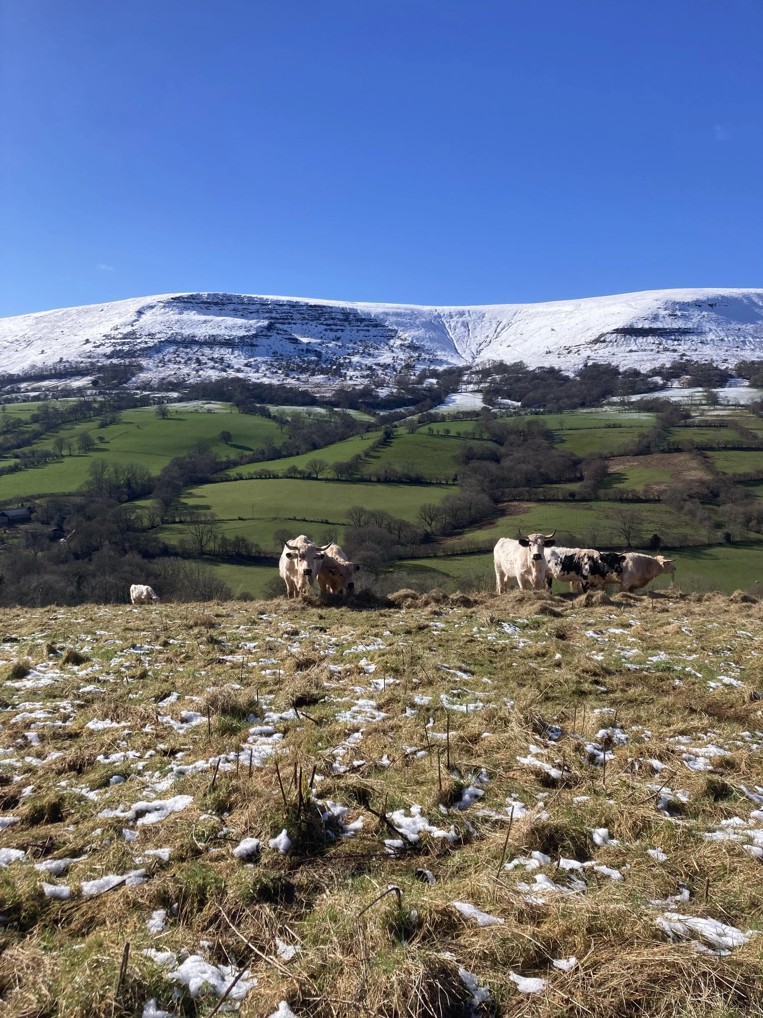 feral farming UK
