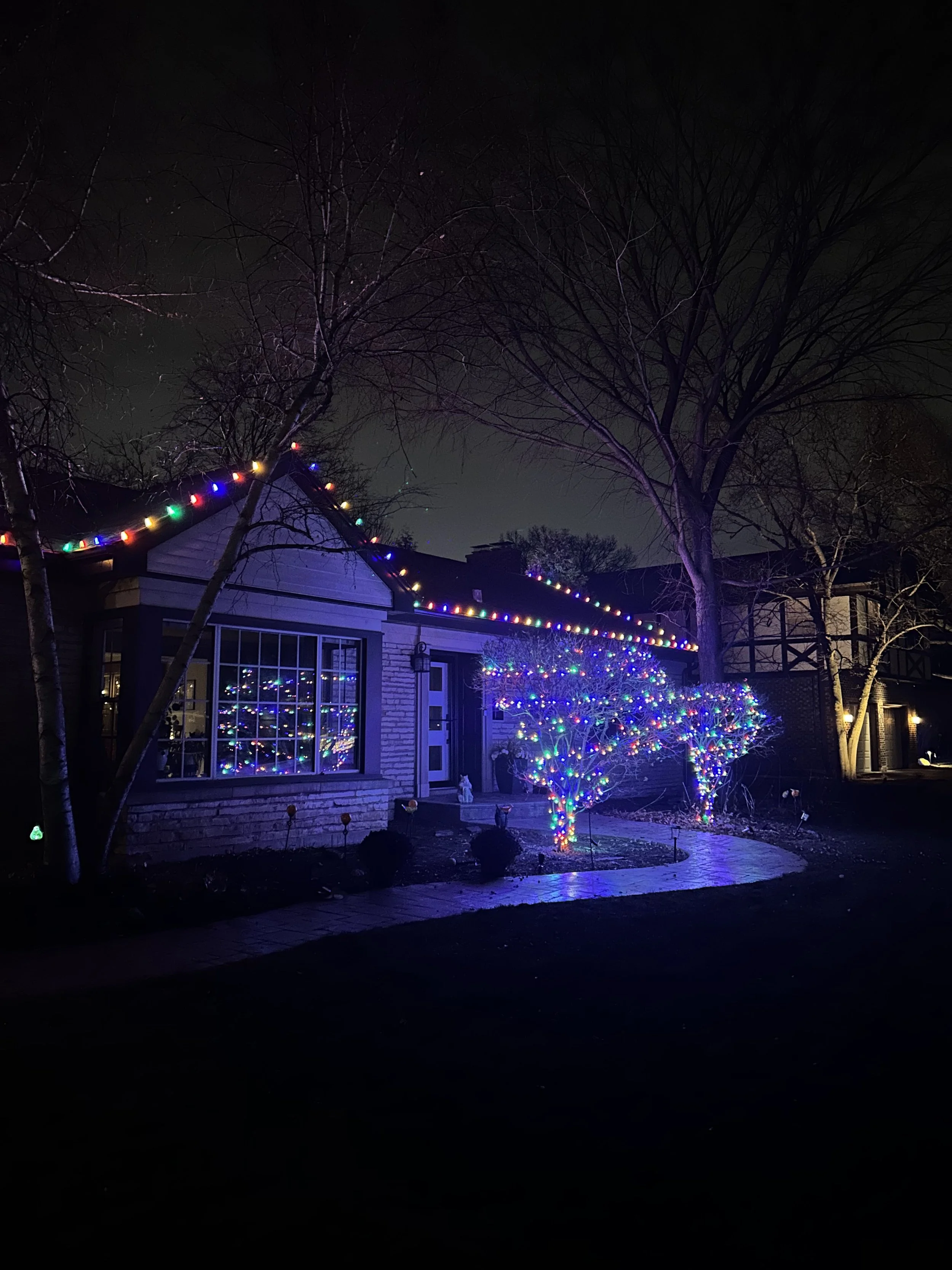 Nighttime scene of a house decorated with colorful Christmas lights, including a lit bush shaped like a heart, with tall leafless trees in the background and a cloudy sky.