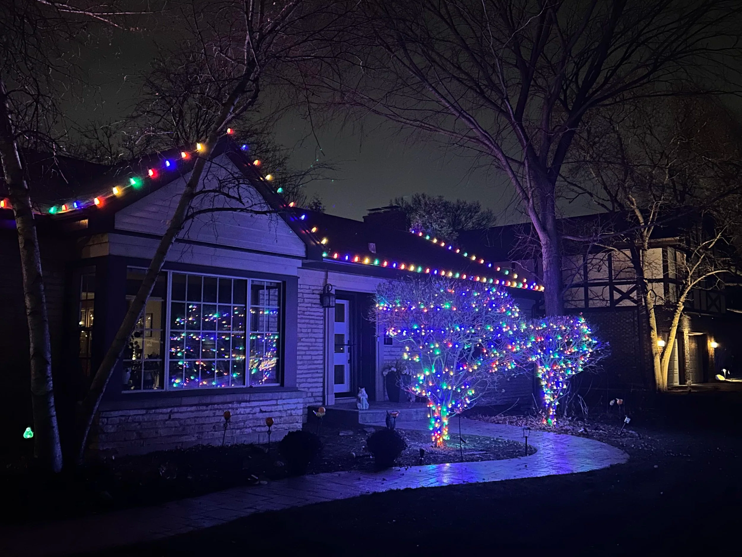Nighttime view of a house decorated with multicolored Christmas lights on the roofline, around a tree, and in the windows, with leafless trees and a dark sky in the background.