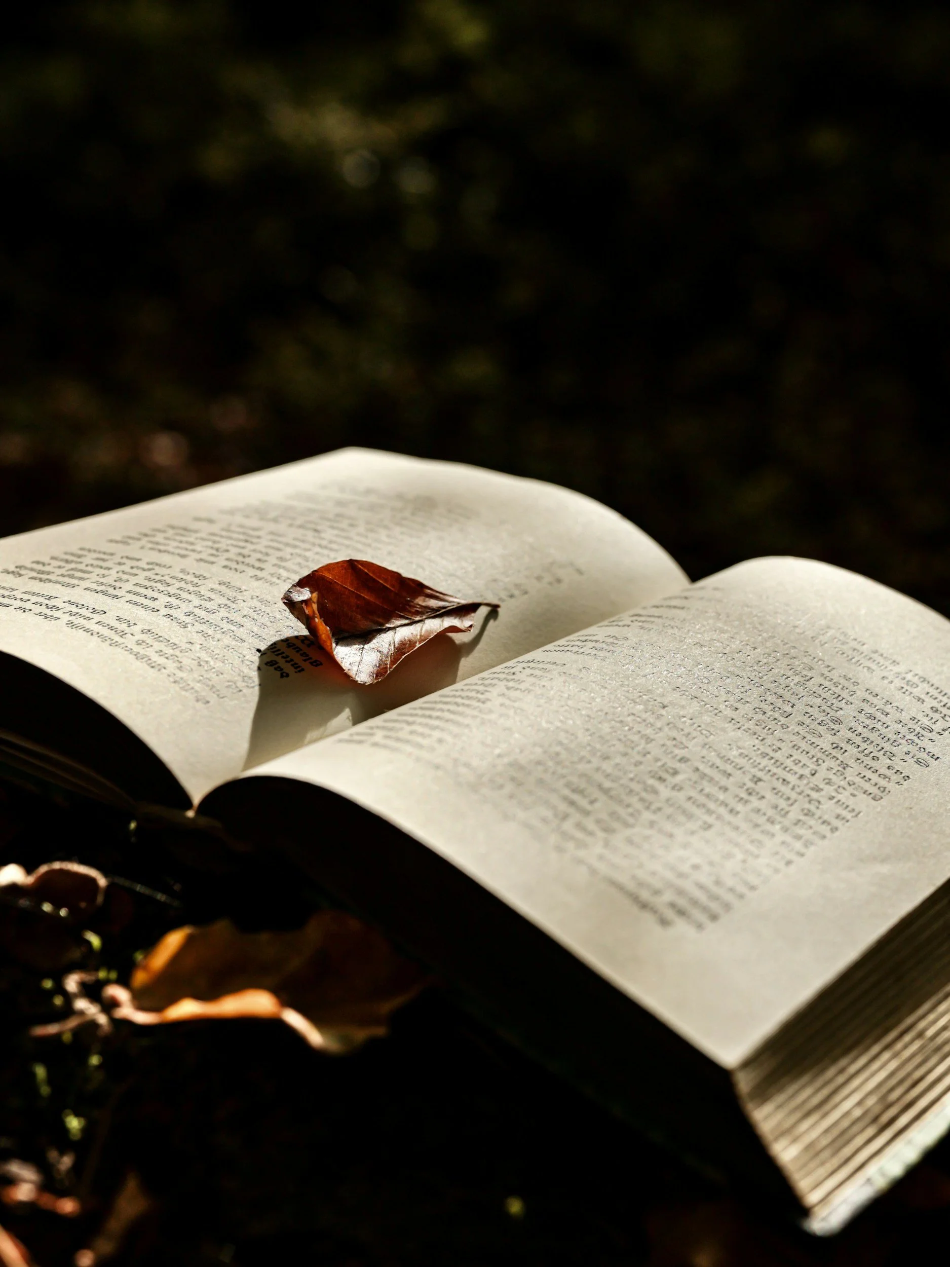 Open book with a dried leaf resting on the page, outdoors with blurred background of greenery.