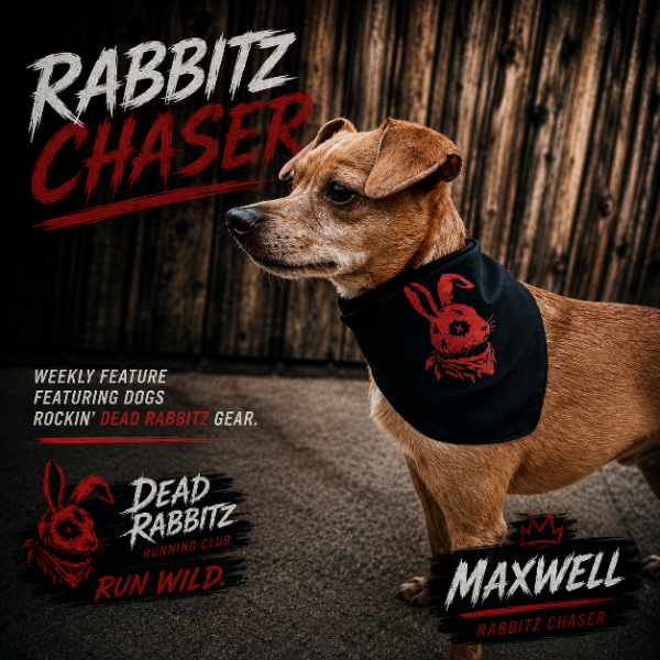 Rabbitz Chaser Bandana