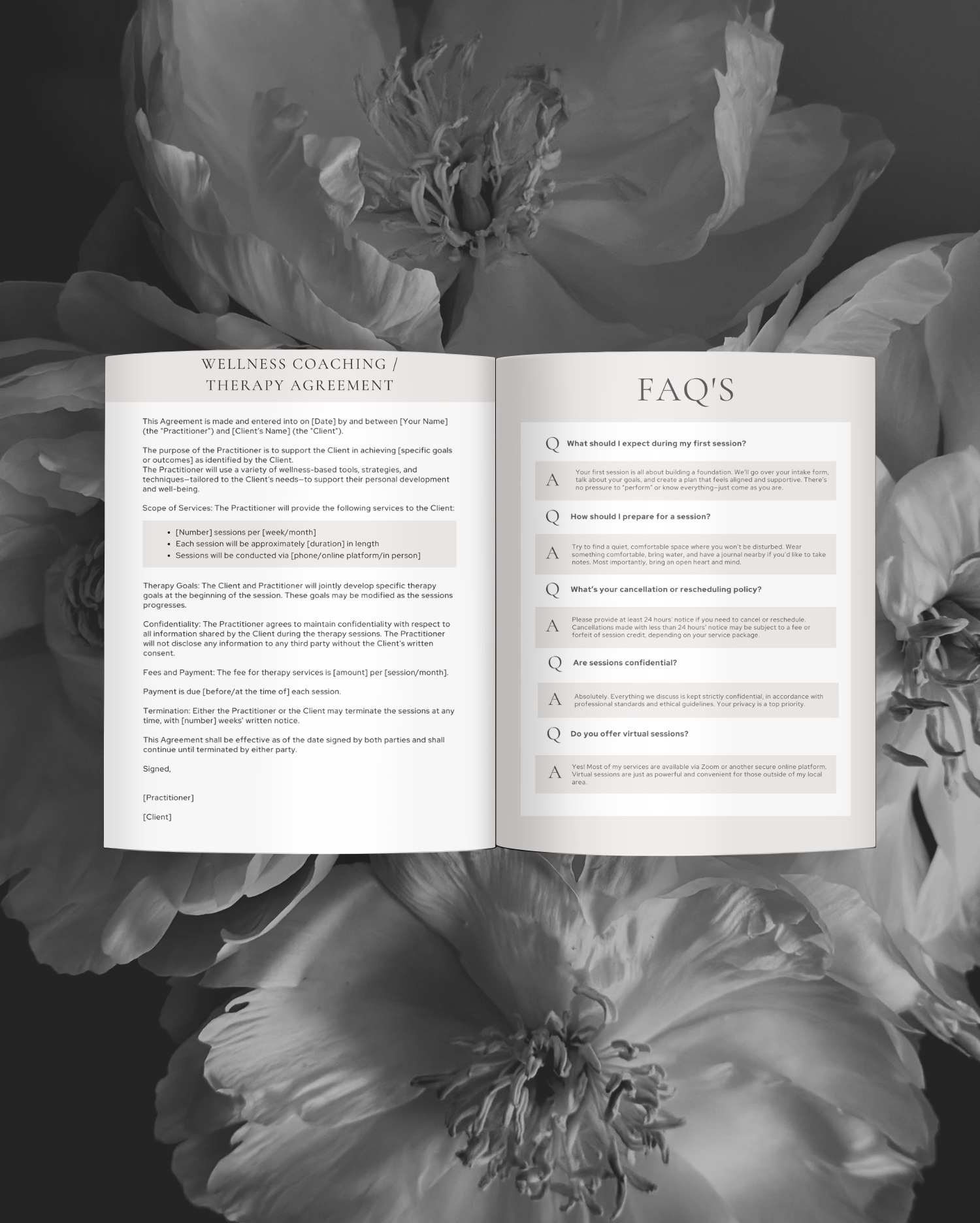 Welcome Packet Template, Client Onboarding, Service Agreements, Pricing Guide, Wellness Coach, Life Coaching, Therapist, Holistic Health,