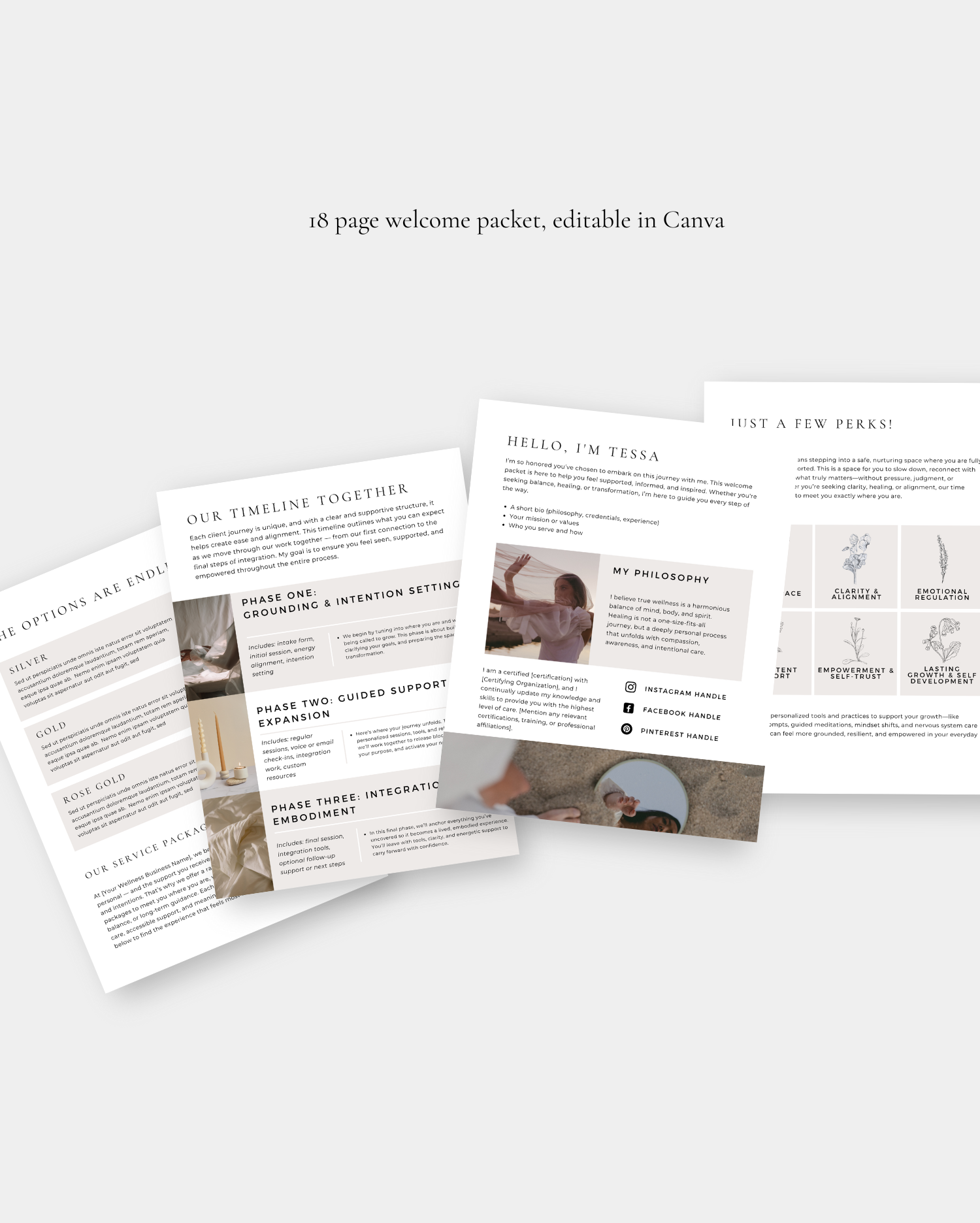 Welcome Packet Template, Client Onboarding, Service Agreements, Pricing Guide, Wellness Coach, Life Coaching, Therapist, Holistic Health,