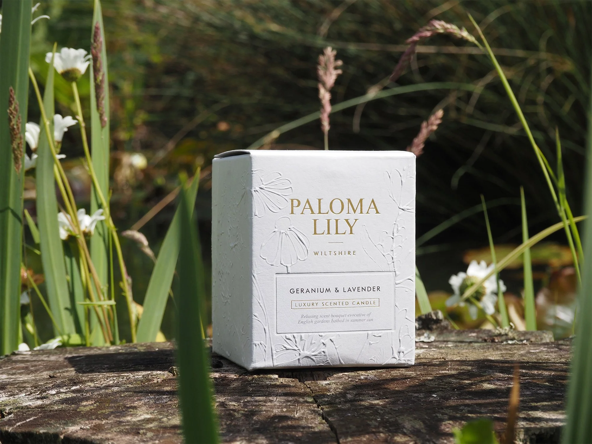 Paloma-Lily-2.jpg