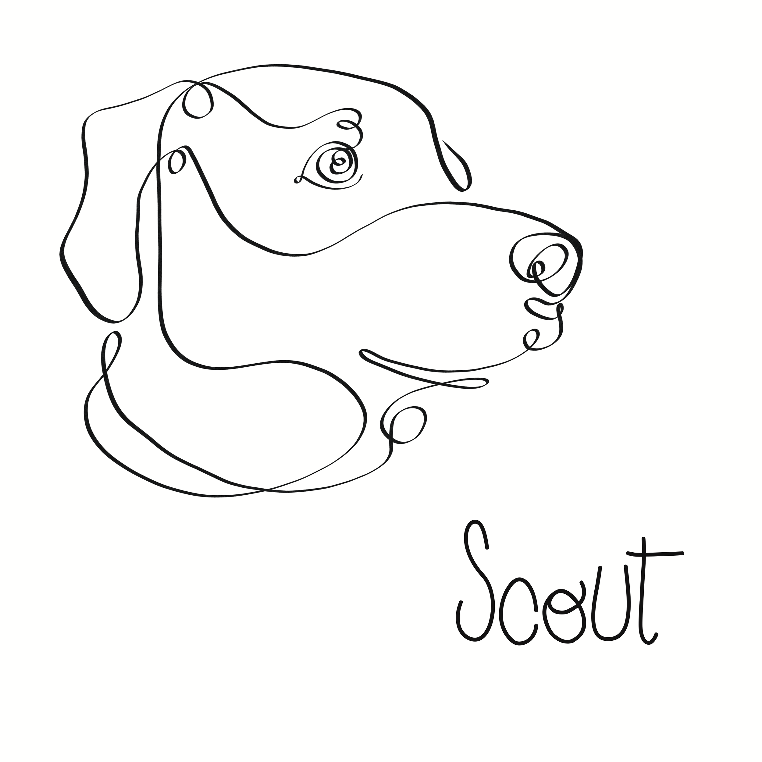 Scout1.PNG