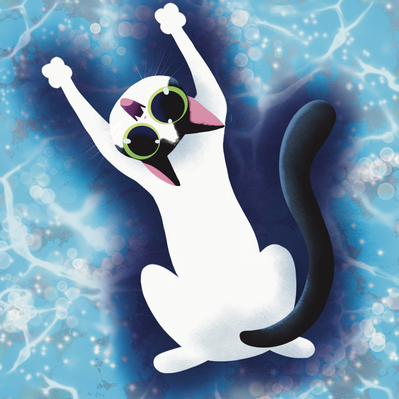 sillycat.png