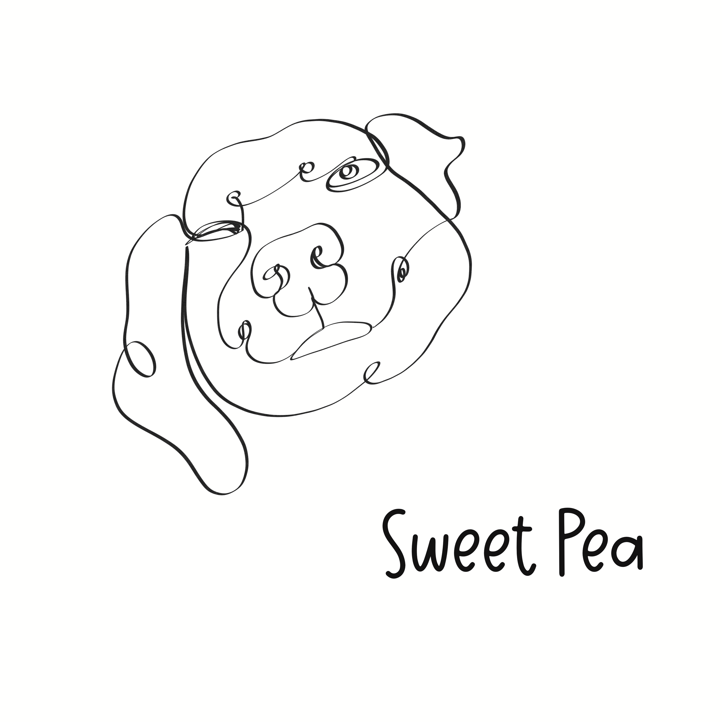 Sweet_Pea_1.PNG