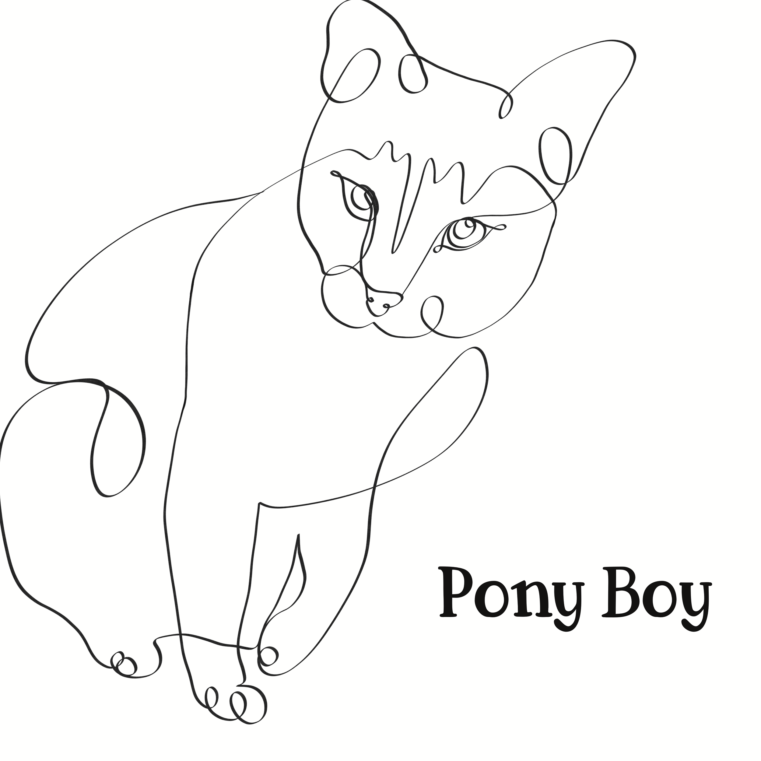 Pony_Boy1.PNG