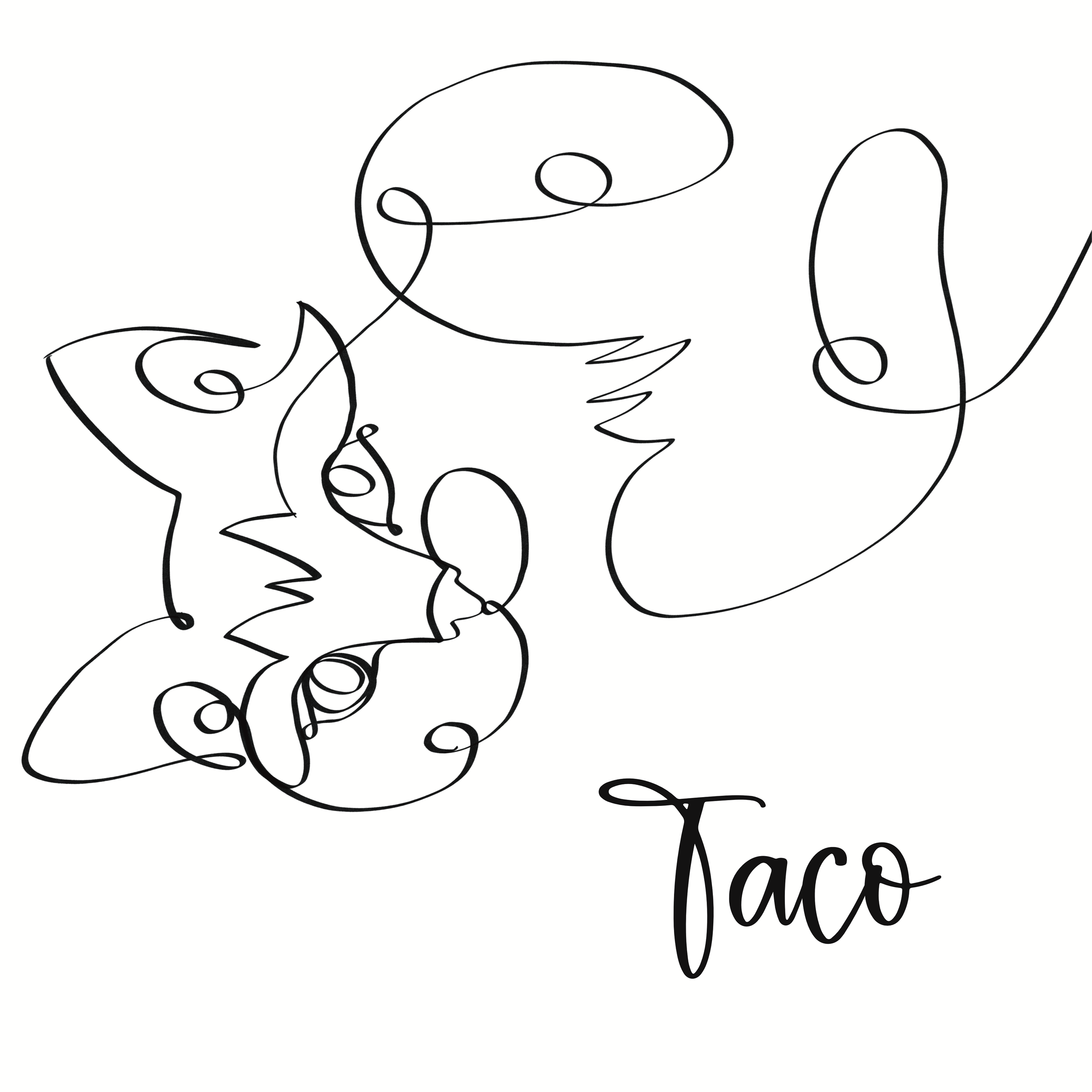 Taco_1.PNG