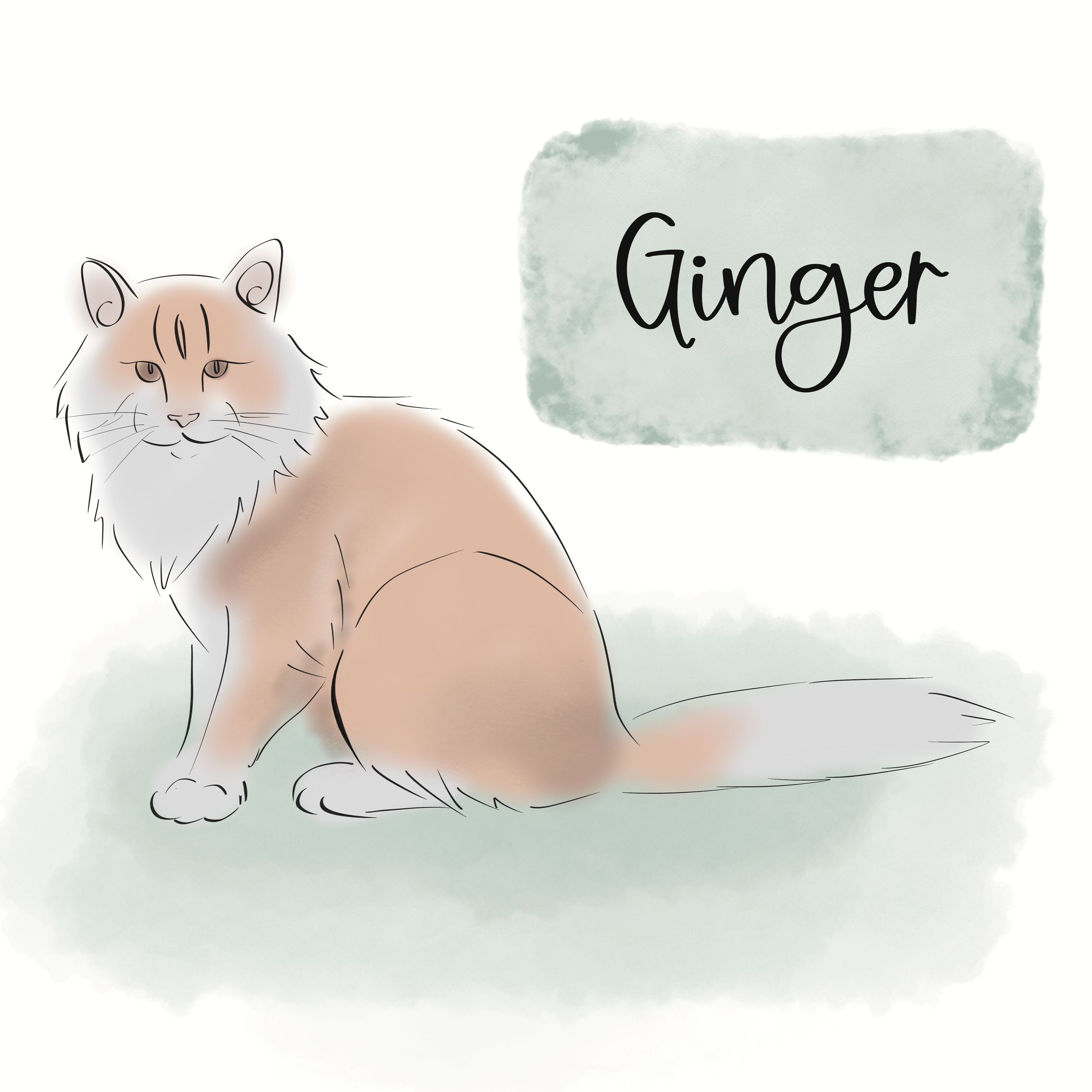 Ginger_1.PNG