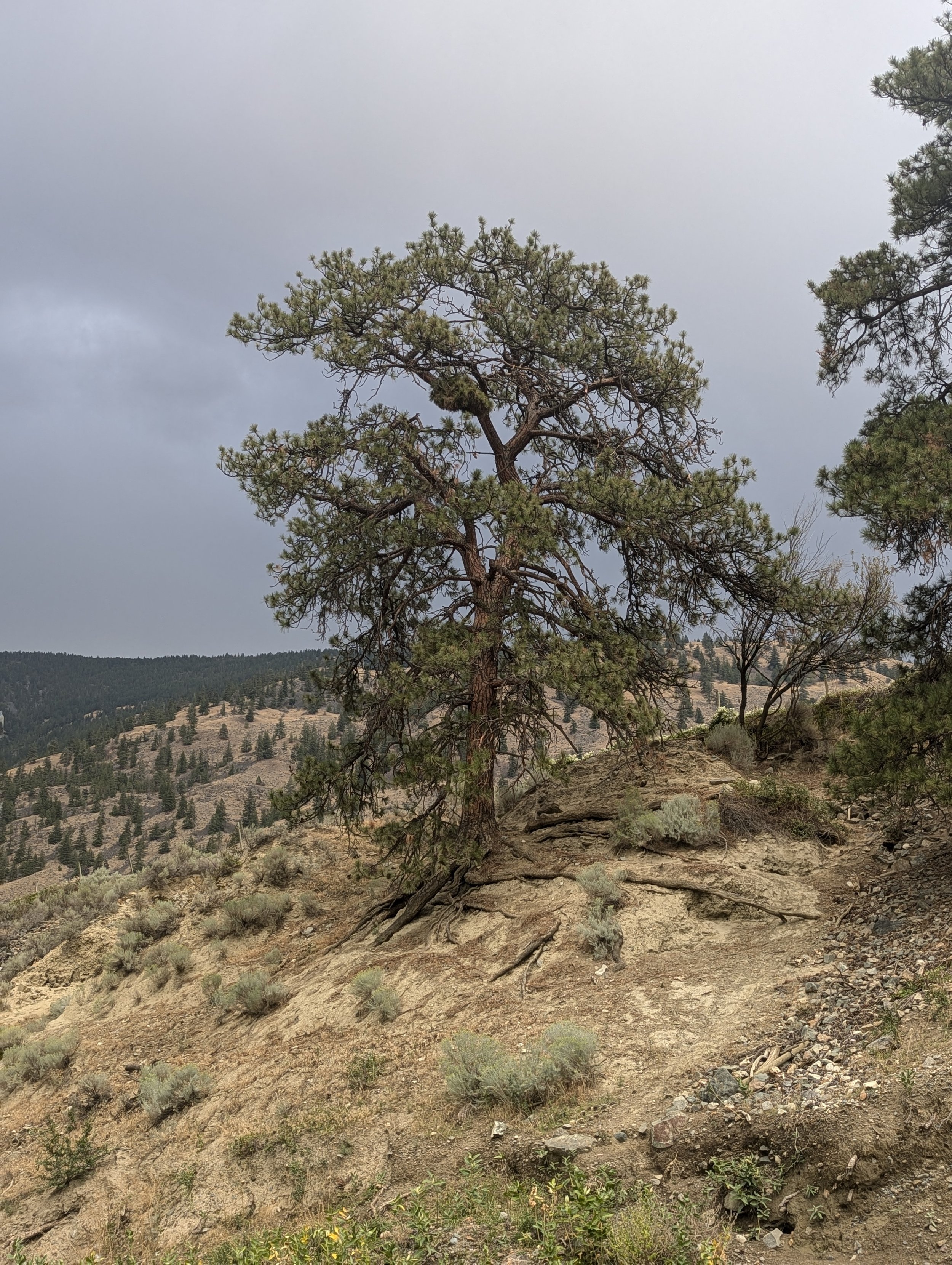 Take time to enjoy the beauty in nature.