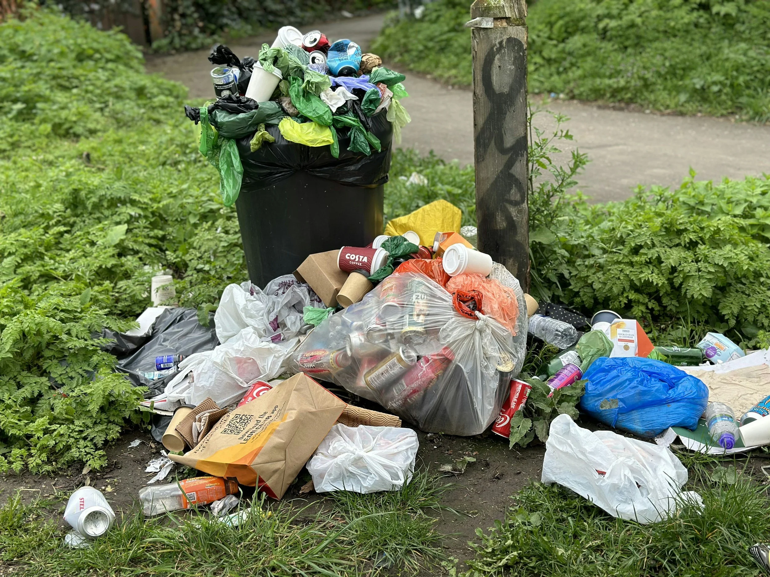 A overflowing trash can on a sidewalk surrounded by scattered trash including paper, cans, cups, and plastic bags, with greenery and a pathway in the background.