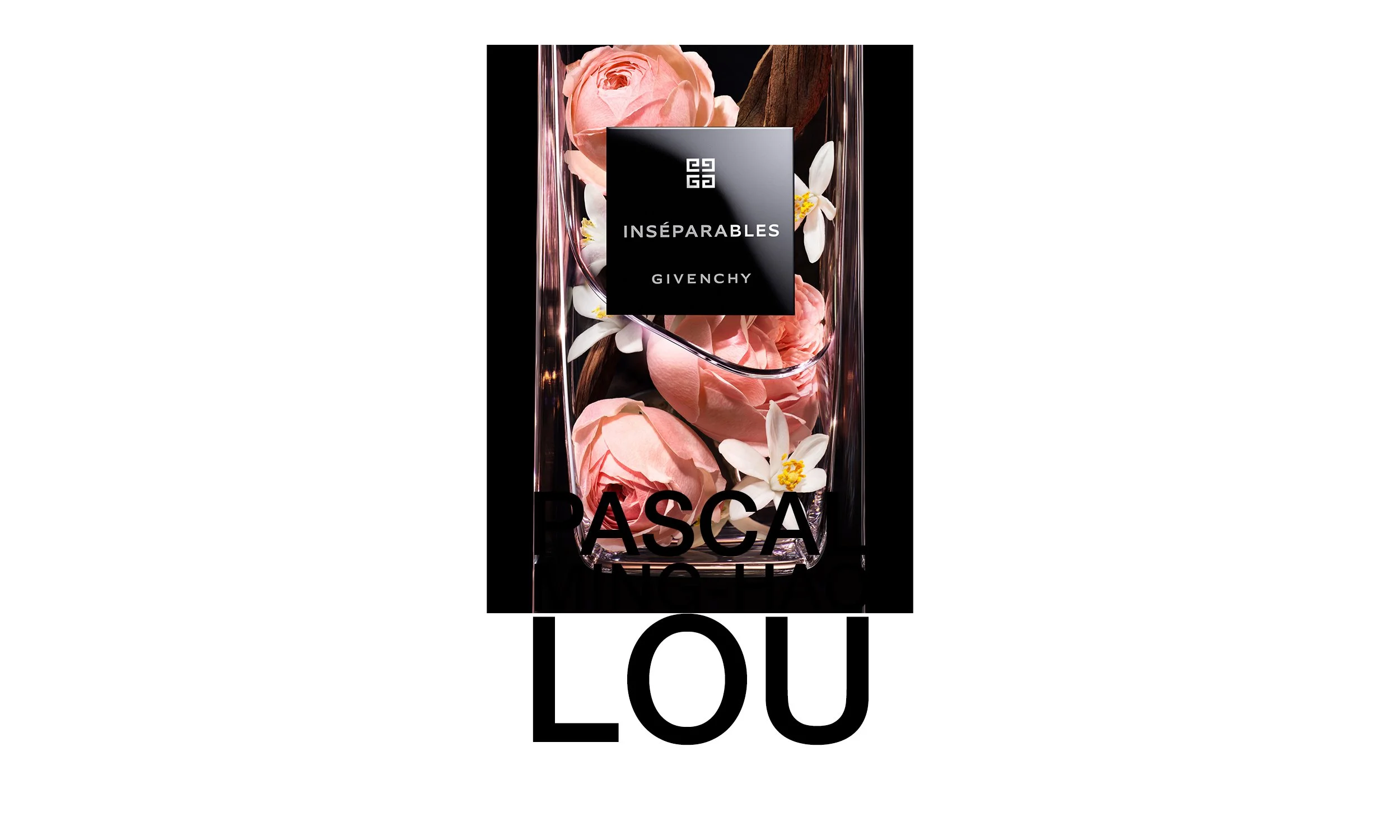 HOMEPAGE GIV LCP_1.jpg