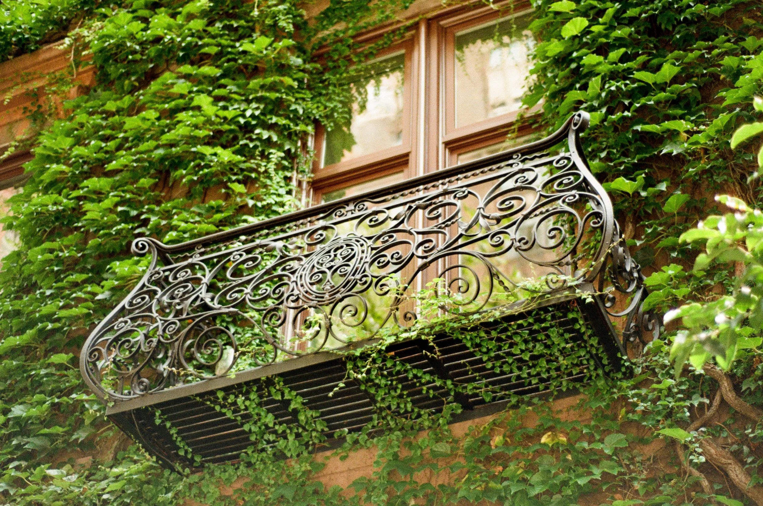 kodak_200_c_41_44557_146651_326953_000007800030.jpg