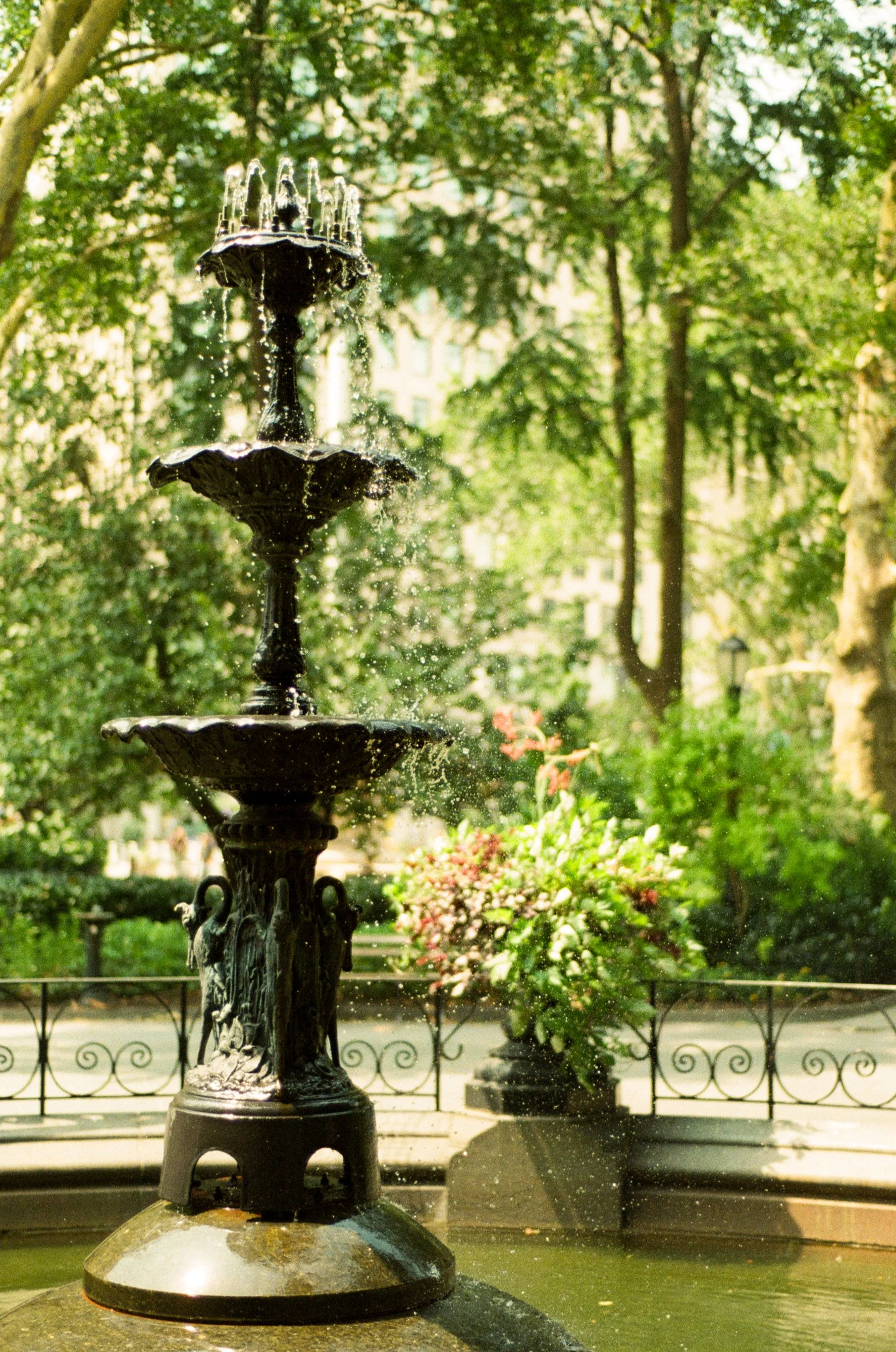 kodak_800_c_41_44557_141725_316112_000061120024.jpg