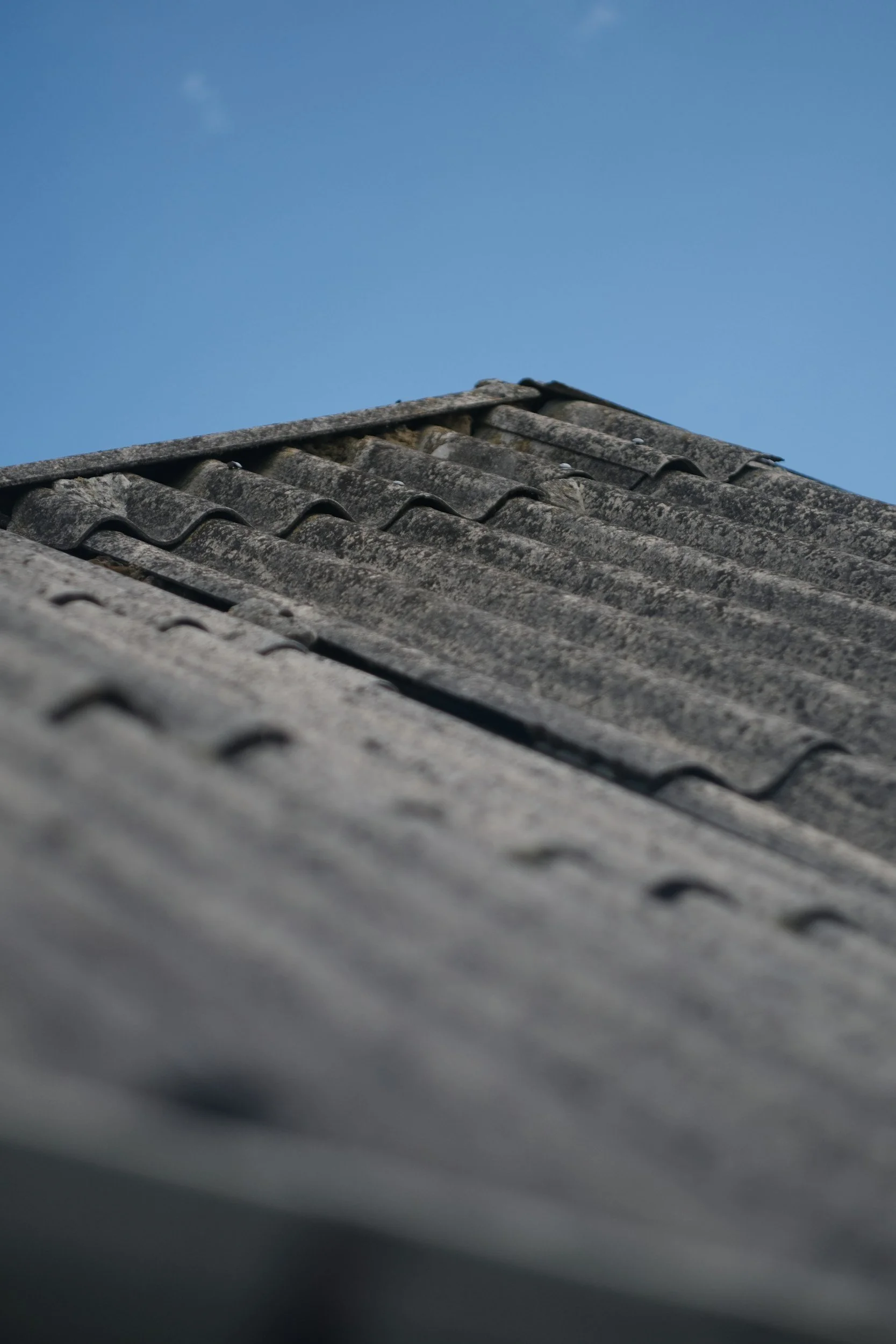Close-up of an old, weathered tiled roof with birds perched on the tiles, against a clear blue sky.