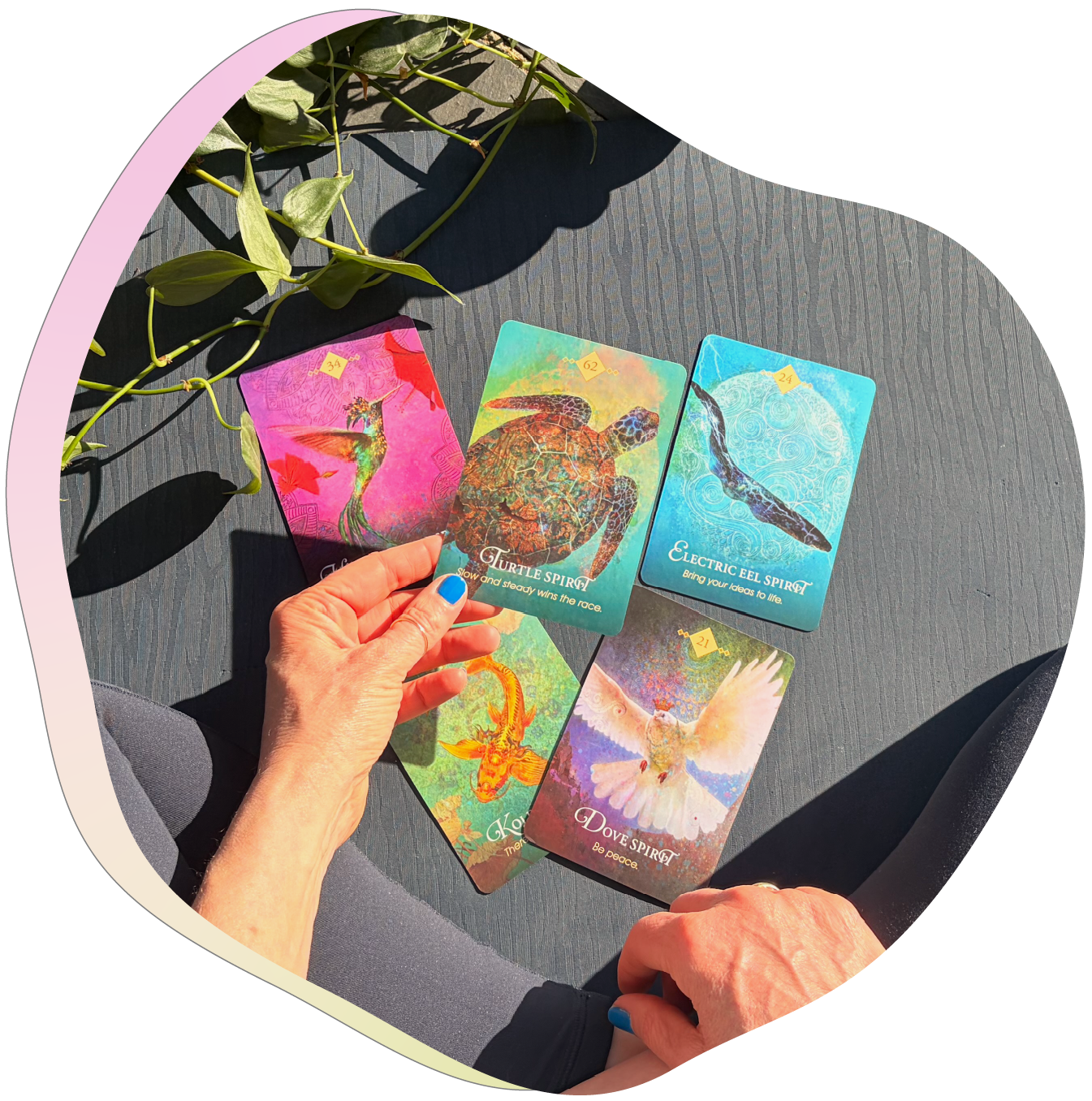 Four colorful oracle cards with spiritual and animal themes are spread out on a dark gray textured surface. A person's hand is holding the card with a turtle, labeled 'Turtle Spirit,' with the message 'Slow and steady wins the race.' Other cards depict a hummingbird, a koi fish, and a dove, each with inspiring messages. There are green leaves in the upper left corner and sunlight casting shadows on the cards.