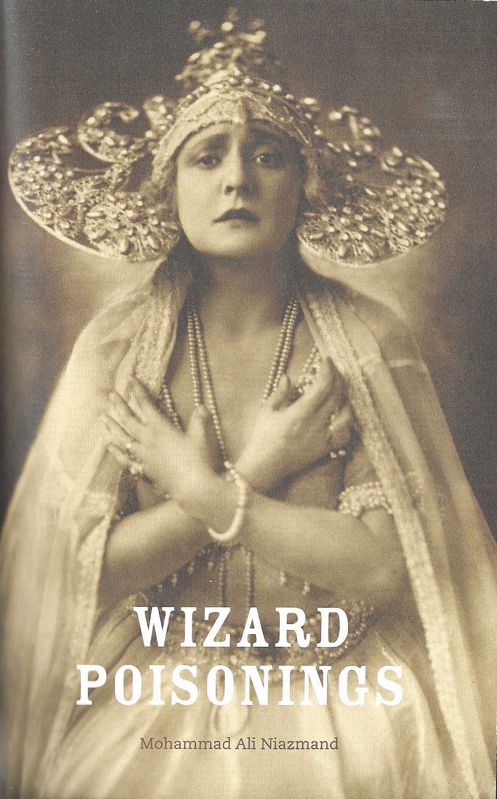 Cover of Wizard Poisonings