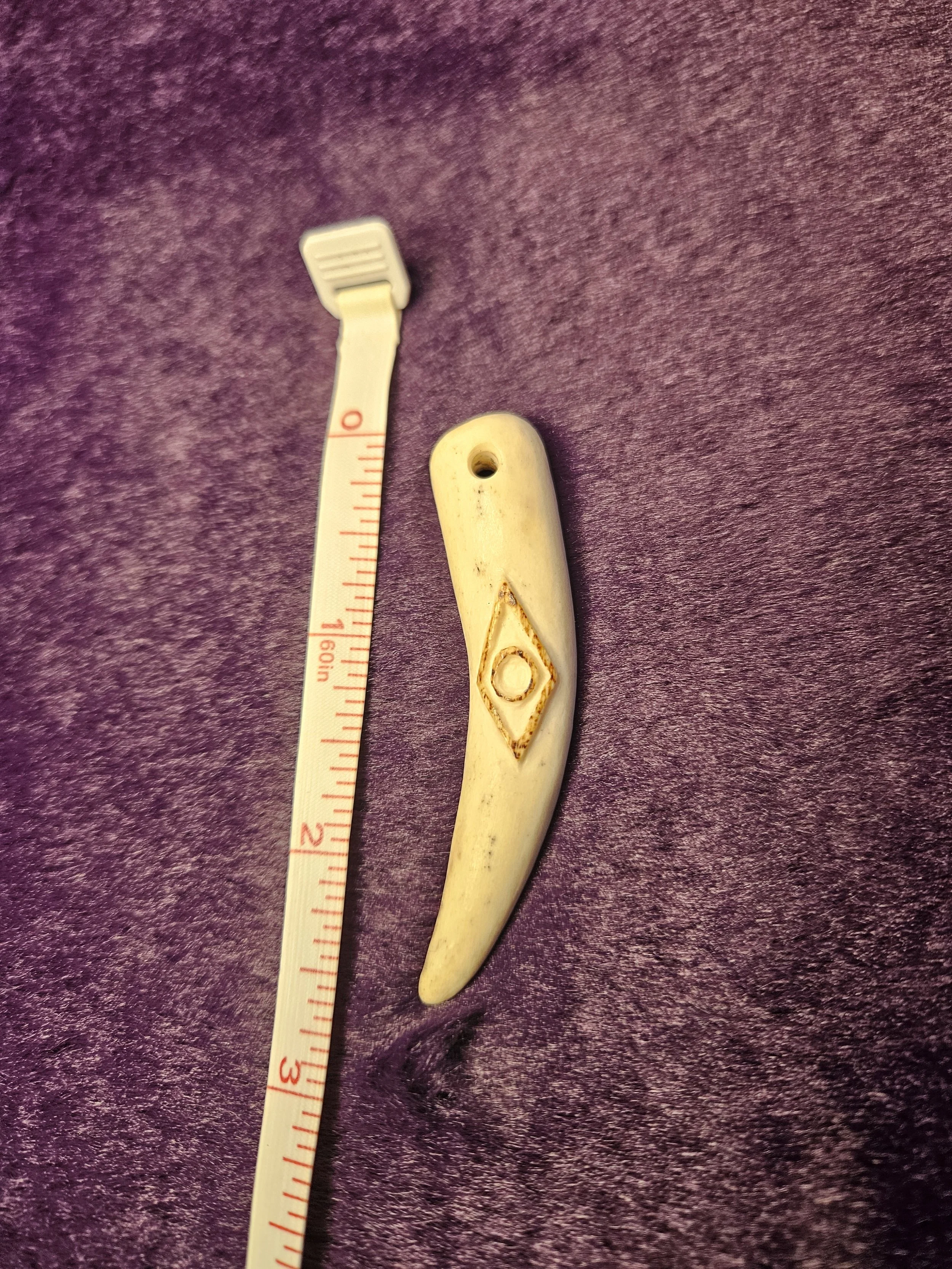 20260926_145451.jpg