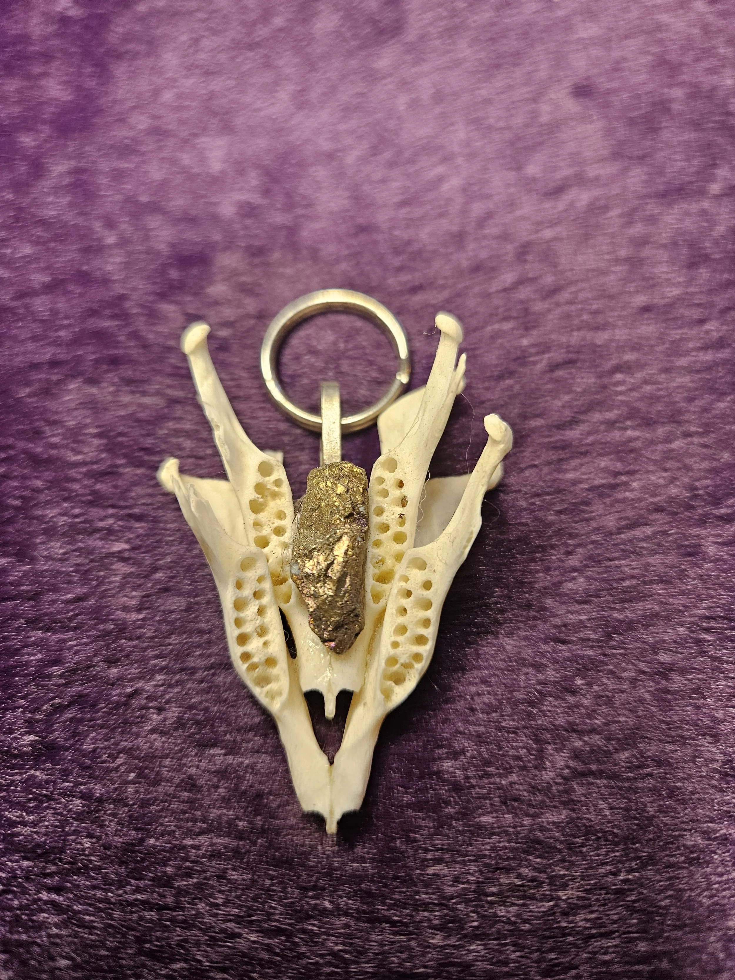 Squirrel Jaw Charm