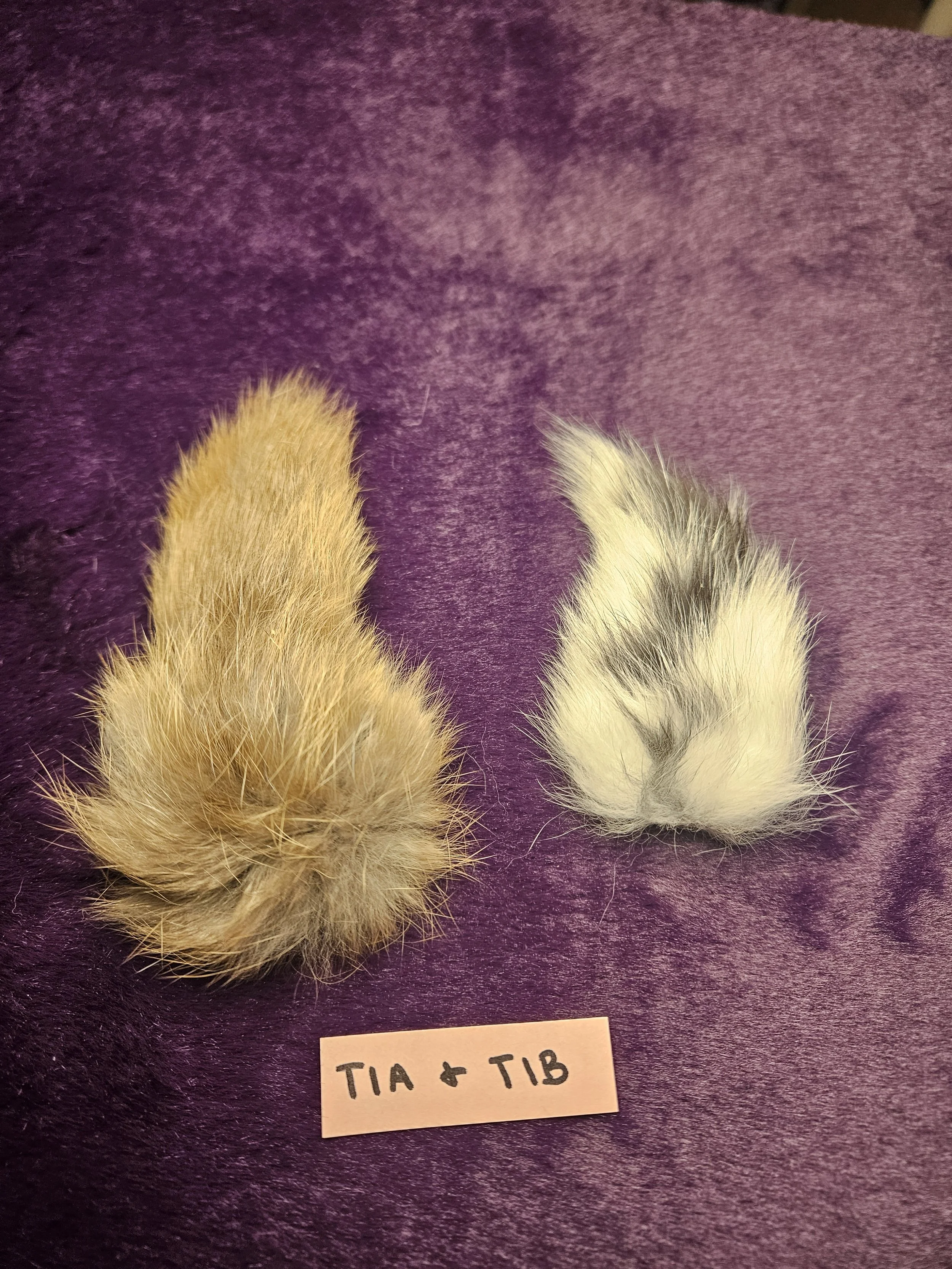 Rabbit Tails for Crafts - T1A & T1B