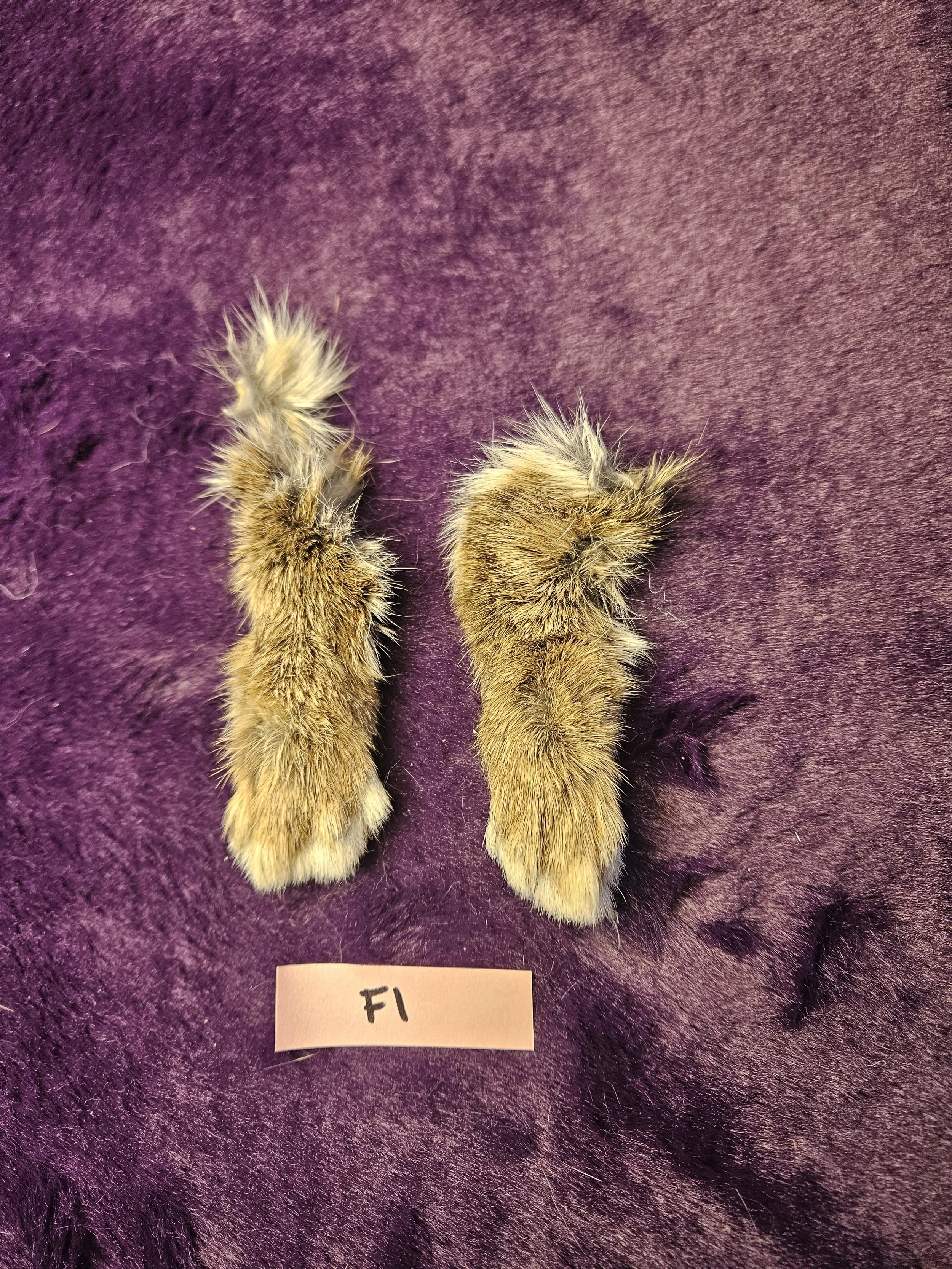Rabbit Front Feet for Crafts - F1