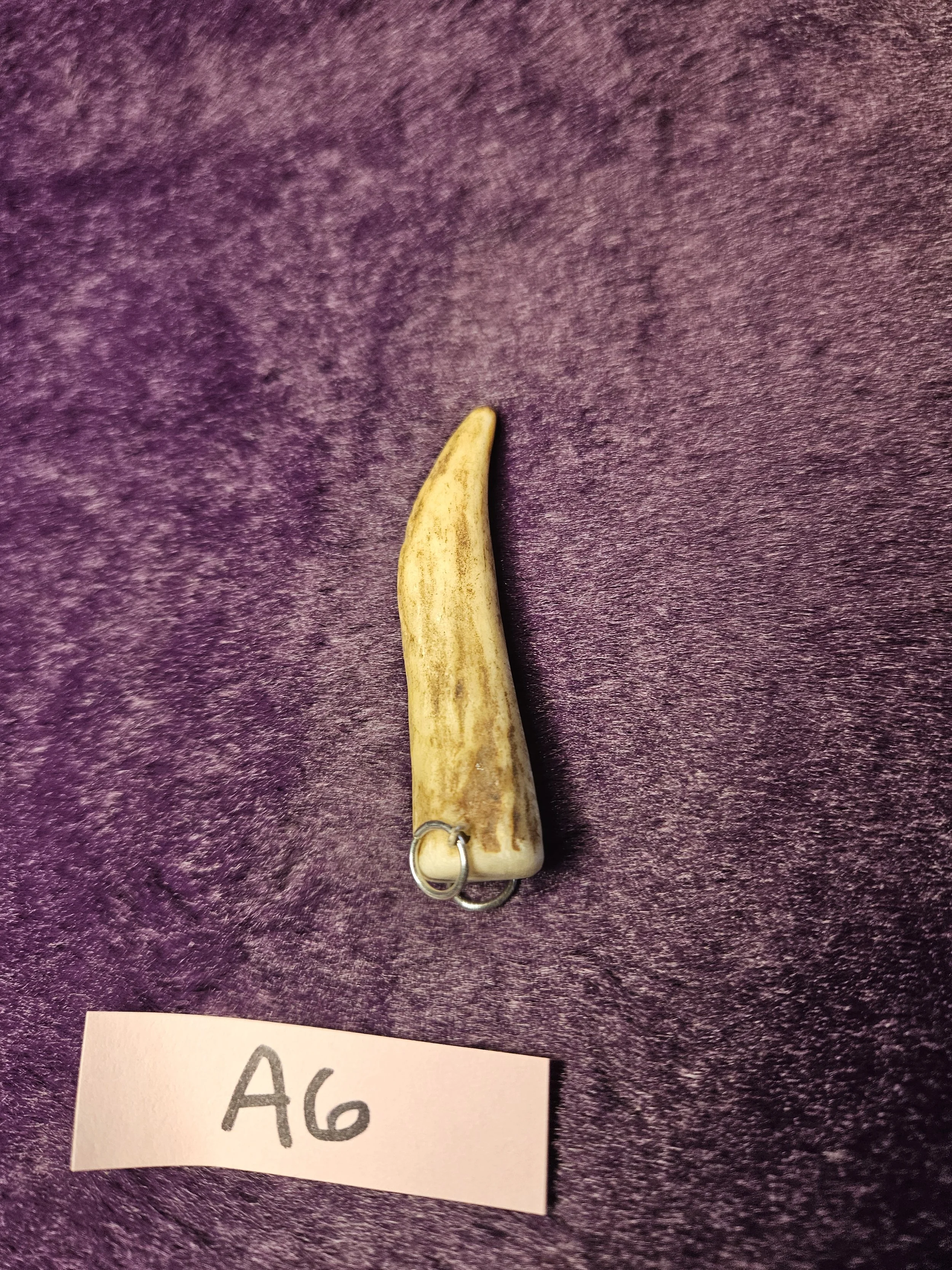 20260926_151729.jpg