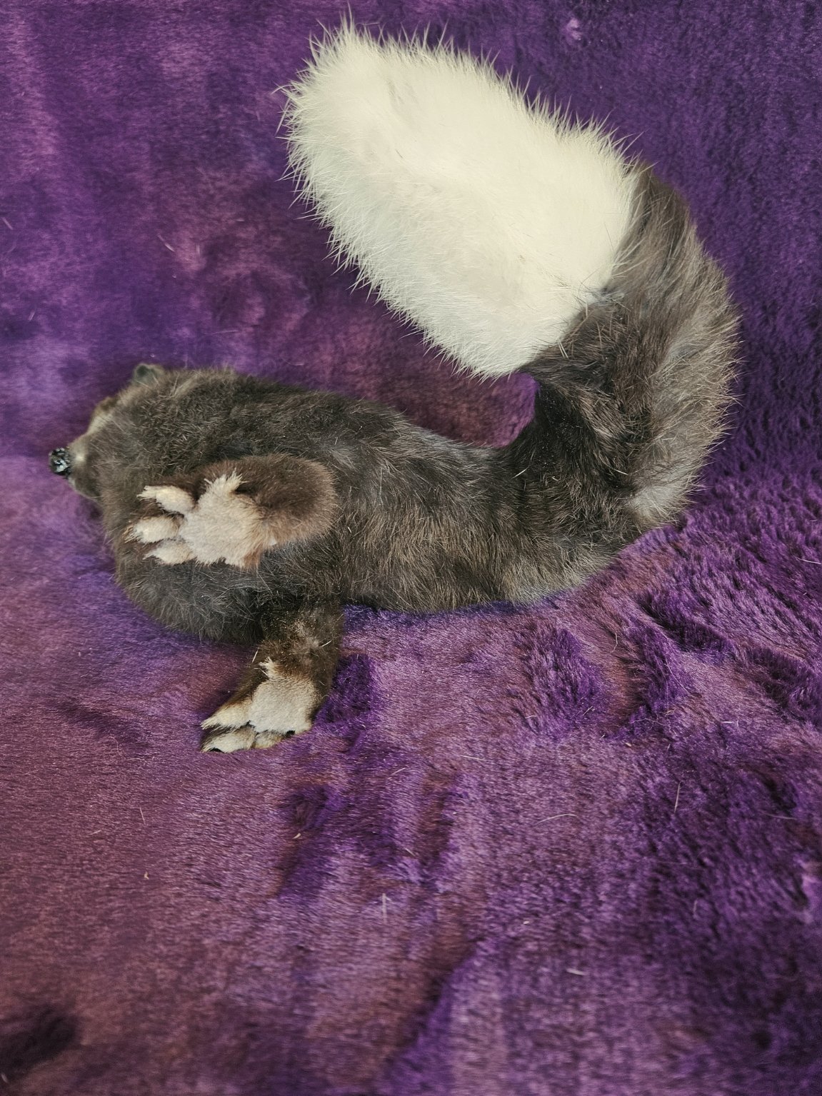 Pic 6C.jpg
