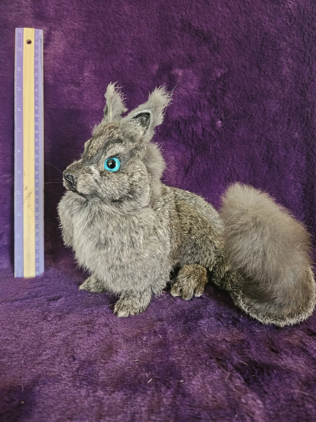 Little Silver Fox
