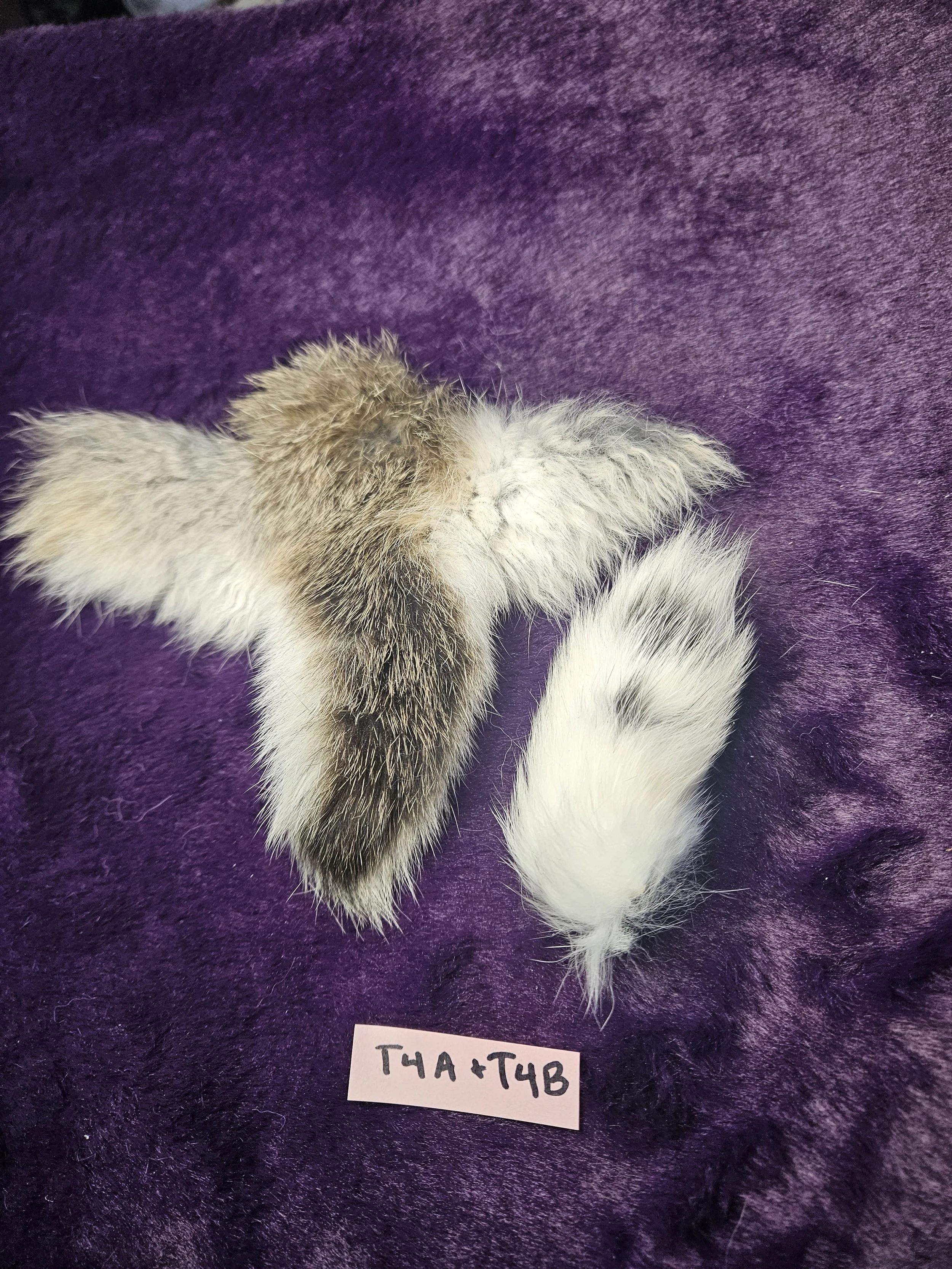 Rabbit Tails for Craft - T4A & T4B