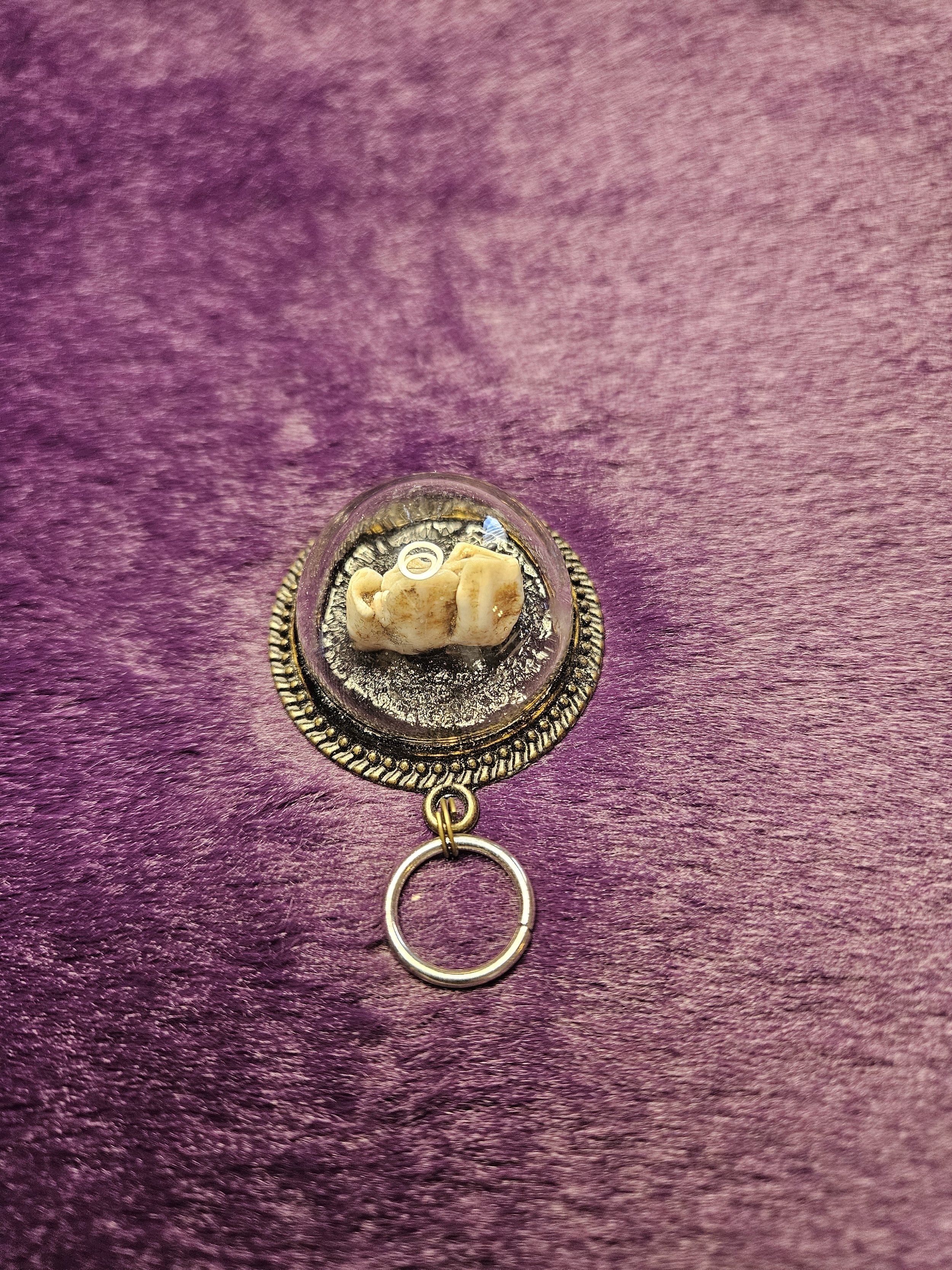 Deer Tooth Charm