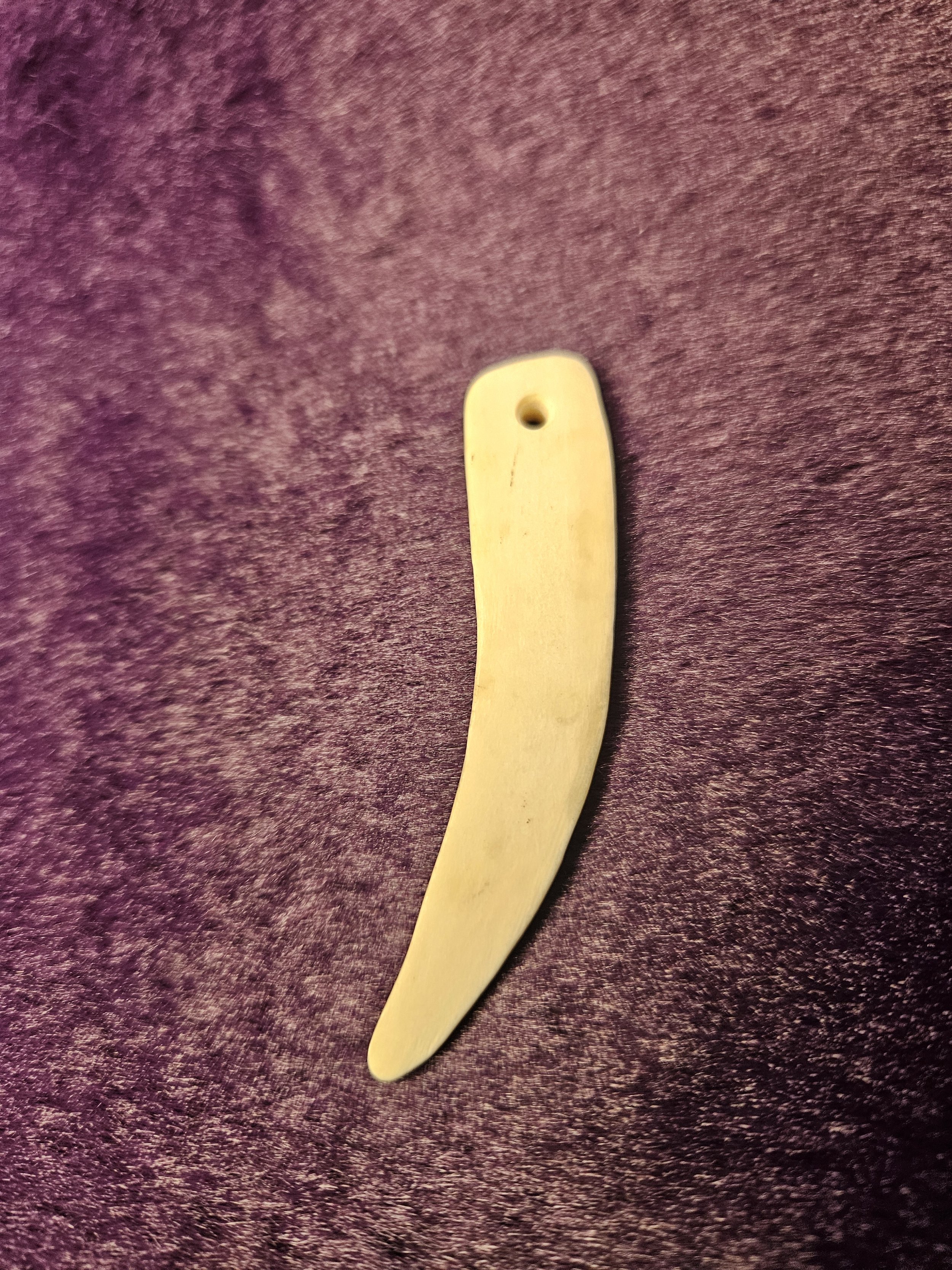 20260926_145555.jpg