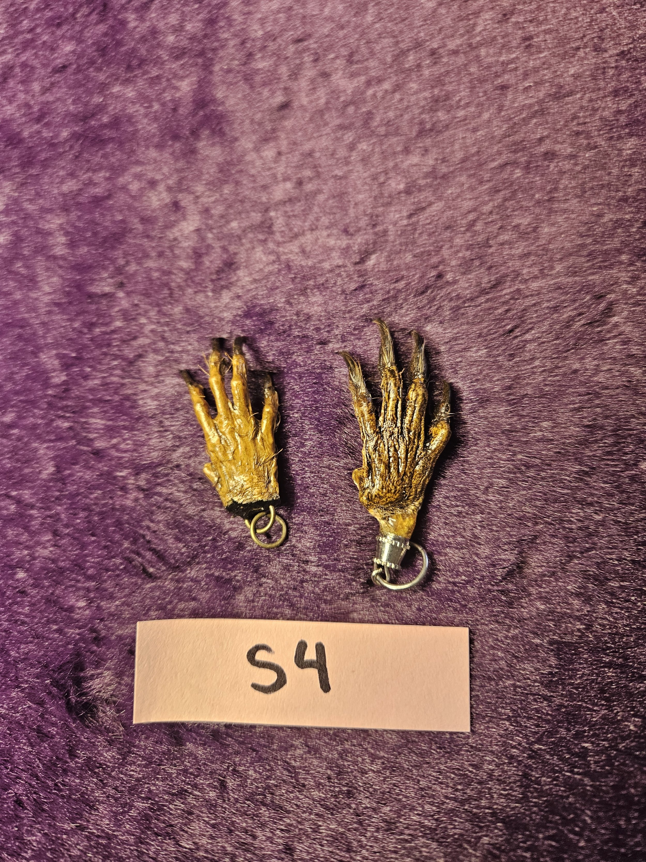 Mummified Squirrel Hand Charms - S4