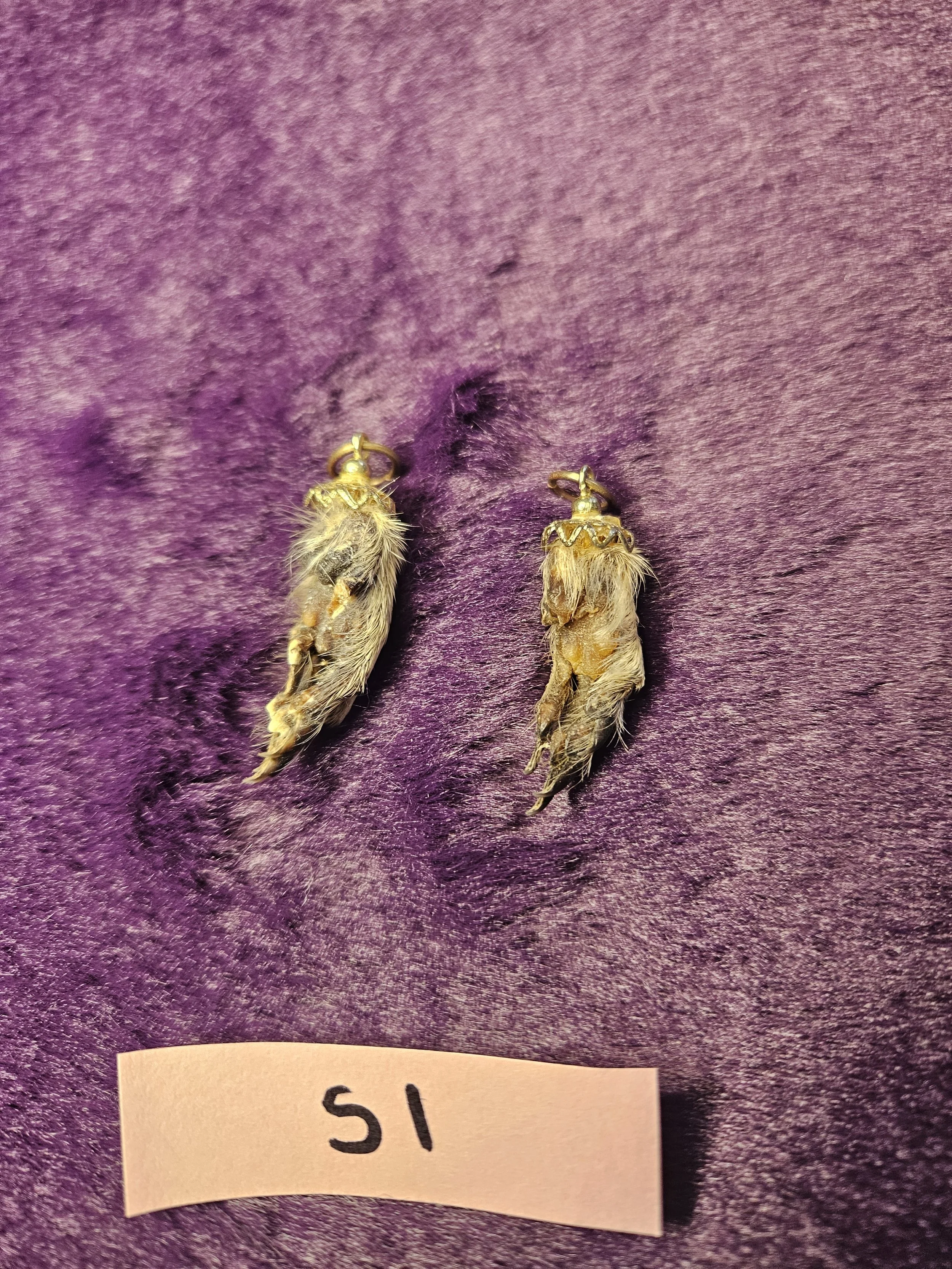 Mummified Squirrel Hand Charms - S1