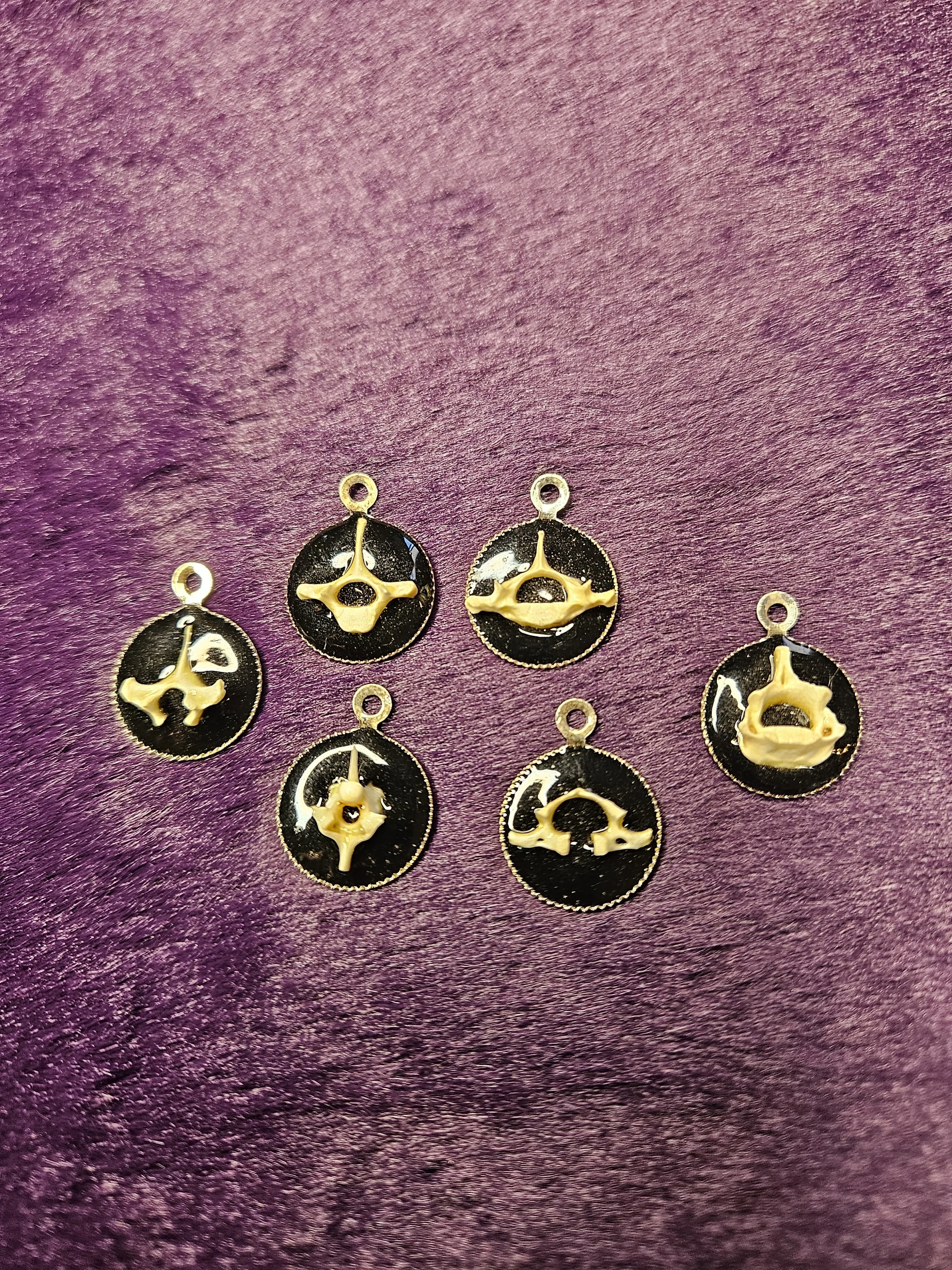Squirrel Vertebrae Charms