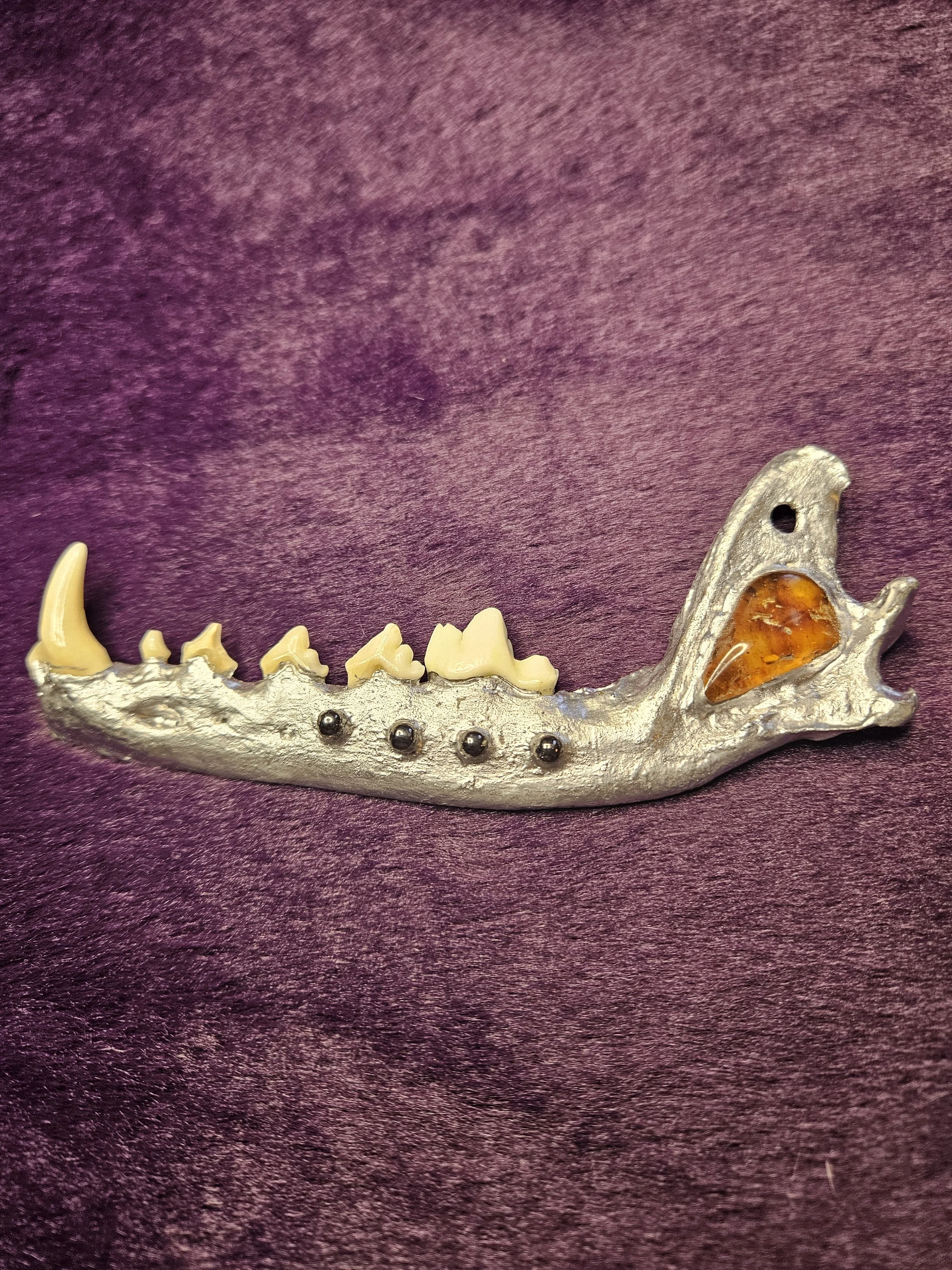 Coyote Jaw for Crafts with Amber Inlay