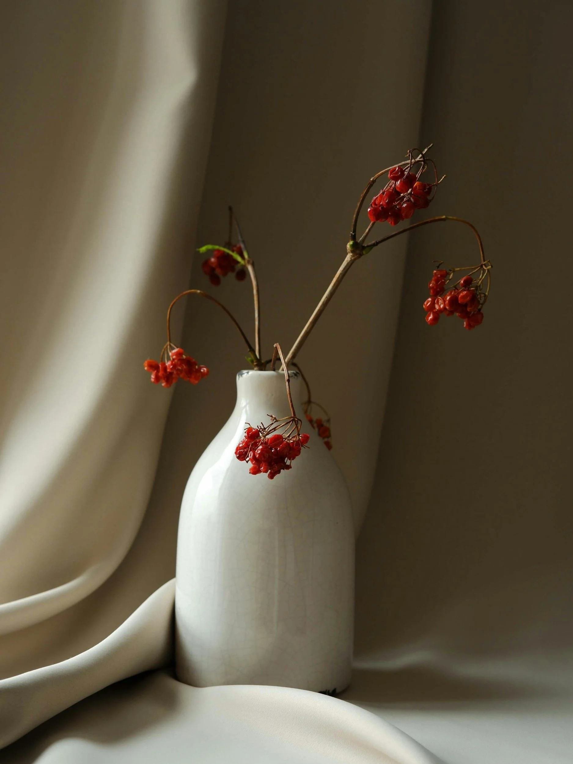 Vase blanc contenant des branches avec des baies rouges, posé sur un drapé blanc avec une lumière douce.