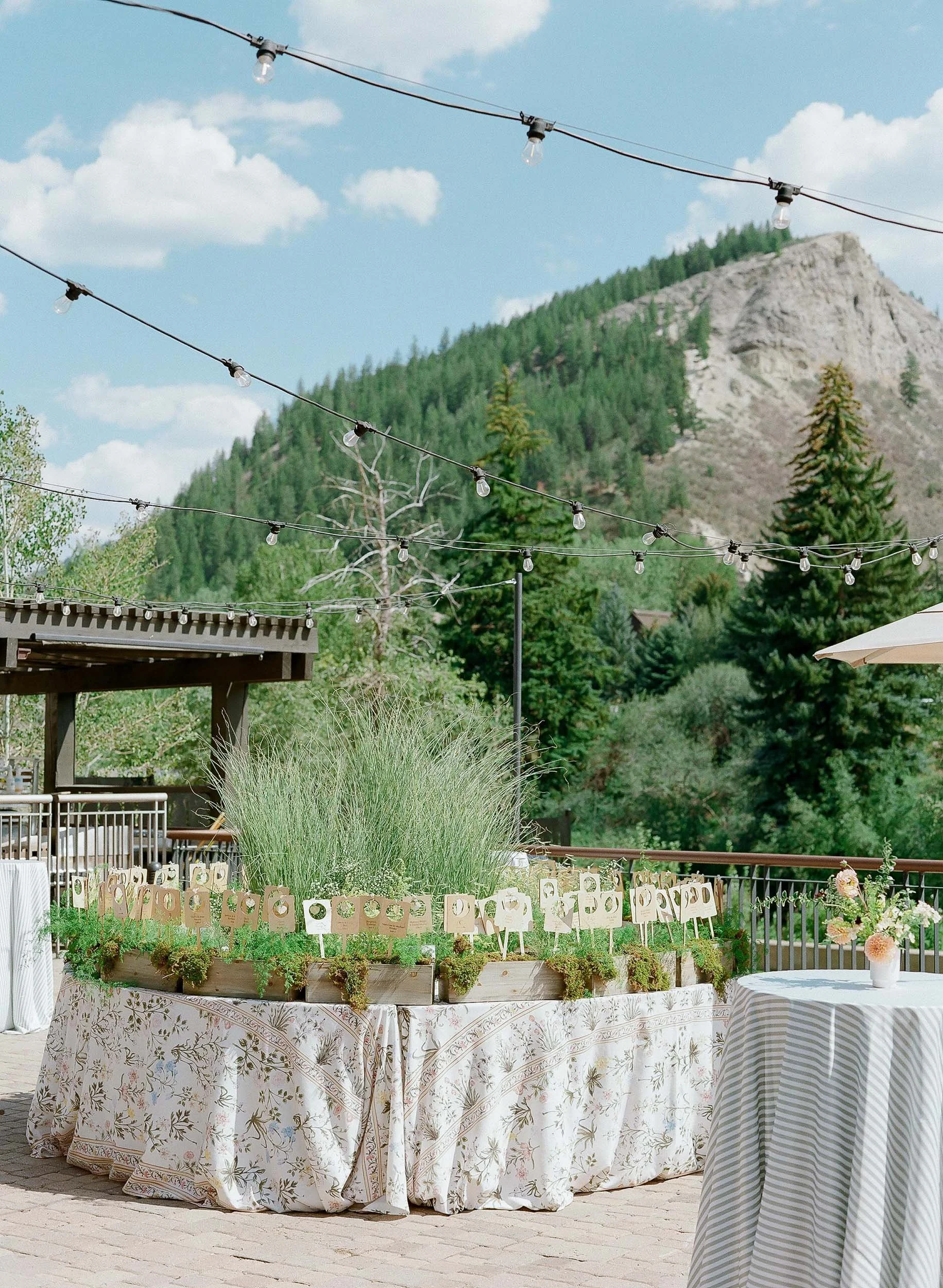 beautiful outdoor colorado mountains wedding setup