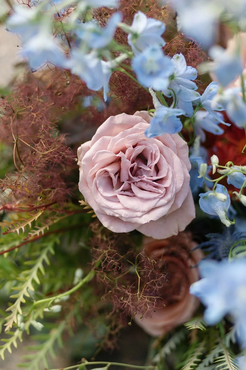 Close-up of soft blush rose with delicate blue blooms and textured greenery in romantic floral arrangement.