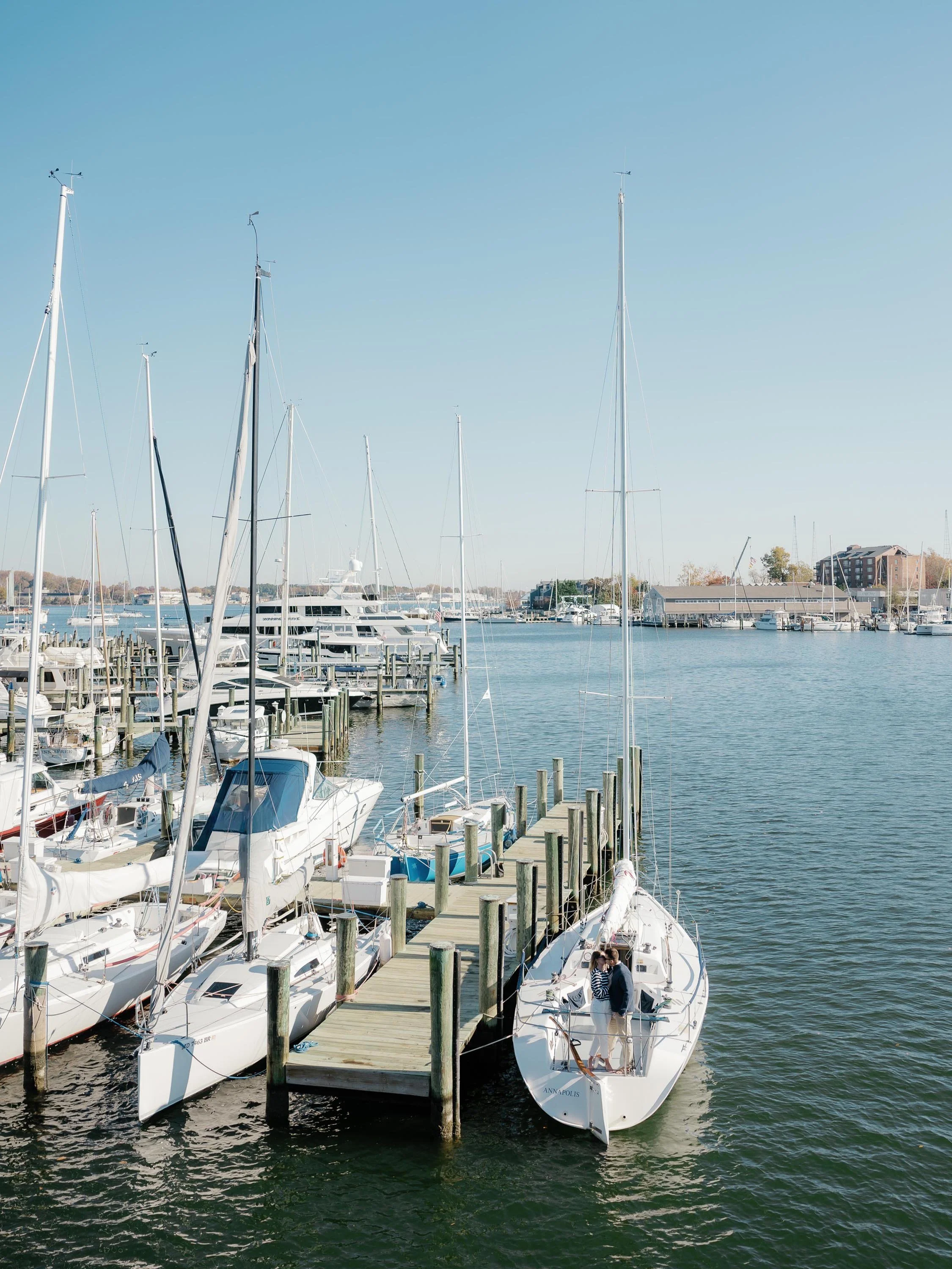 view of a marina on the new england coast in the summer