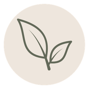 Botanical leaf illustration