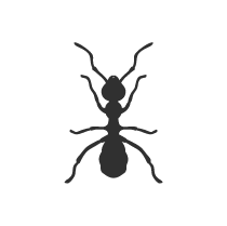 Silhouette of an ant on black background. Pest control species.