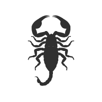Silhouette of a scorpion against a black background. Pest control species.