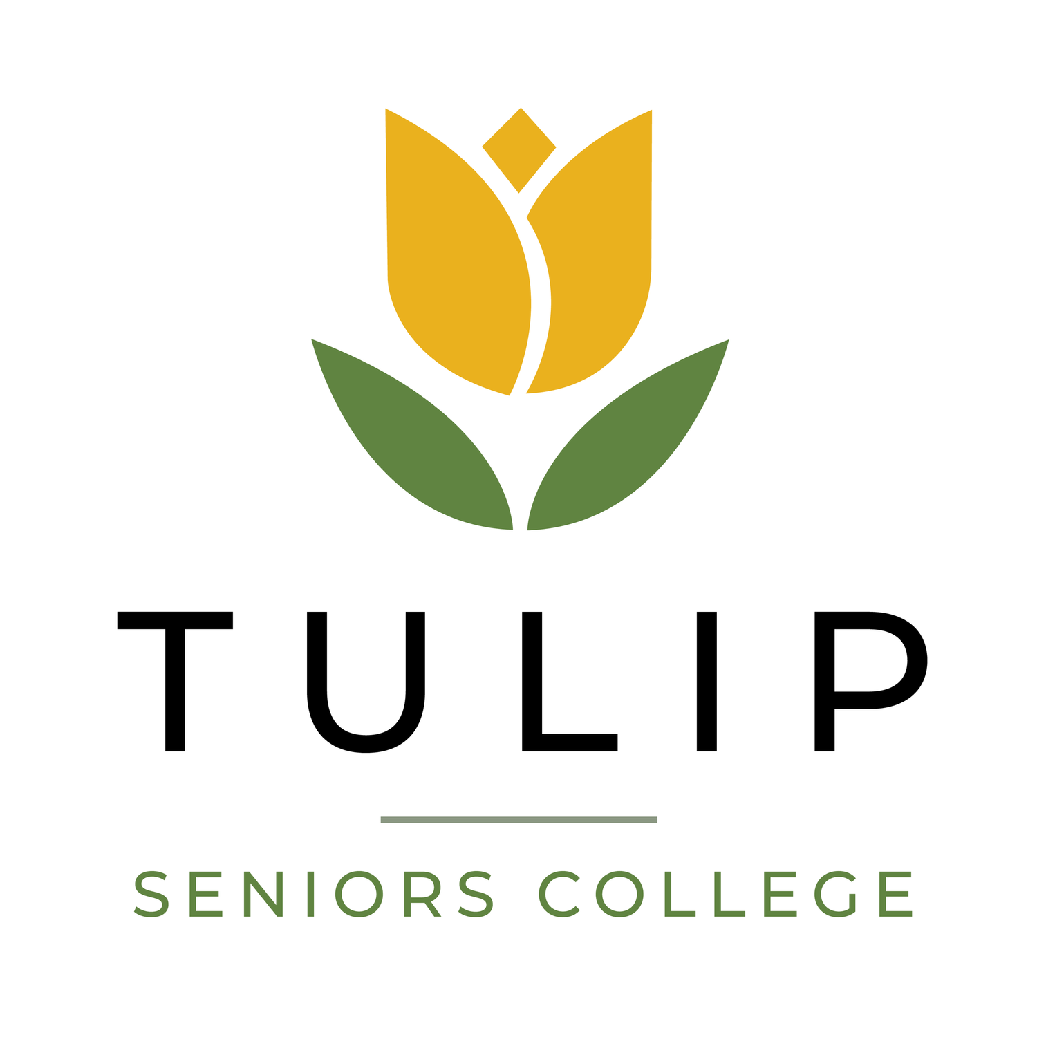 Tulip Seniors College