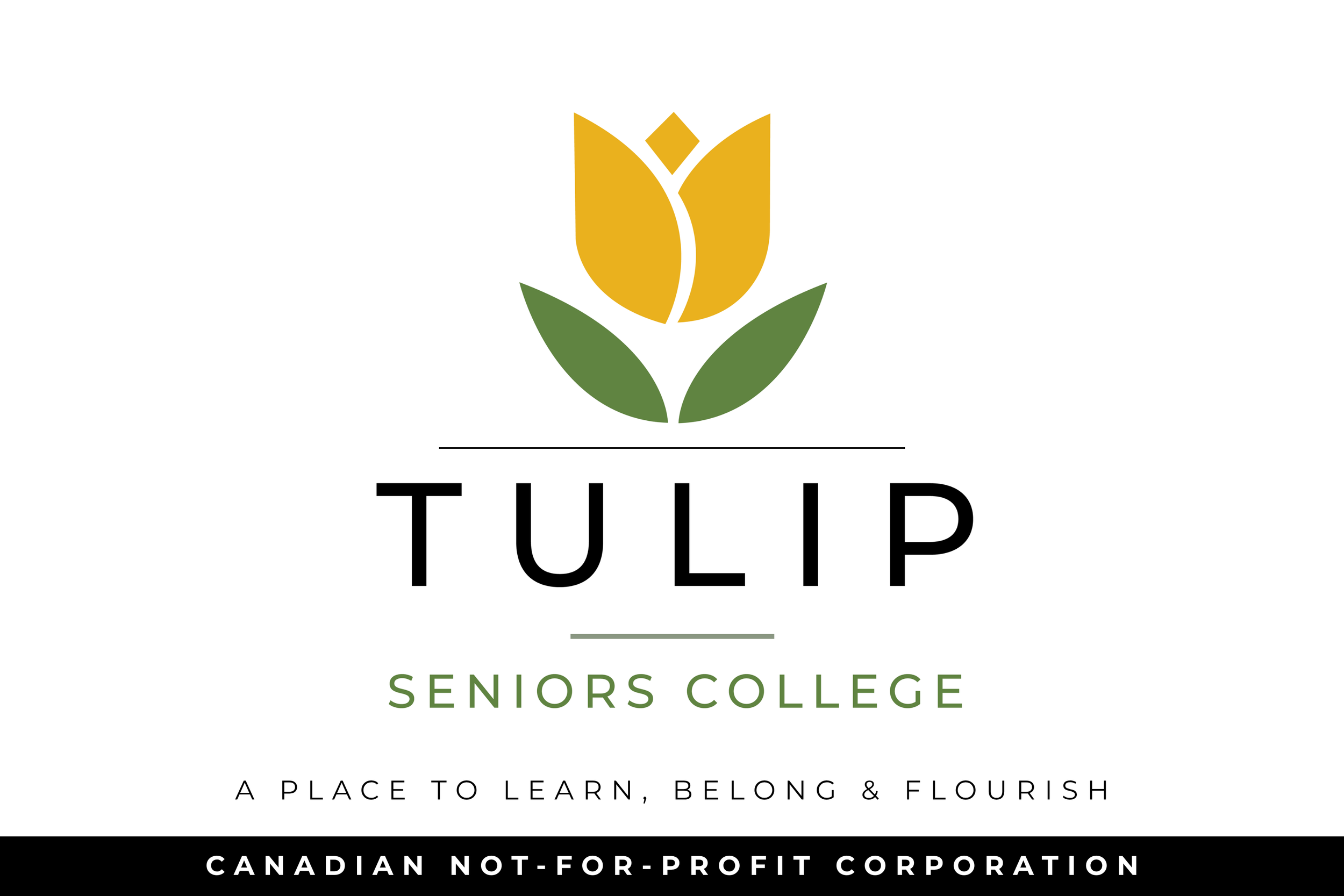 Logo for Tulip Seniors College featuring a stylized yellow tulip with green leaves, with the text 'TULIP' in large black letters and 'SENIORS COLLEGE' in smaller green letters below.