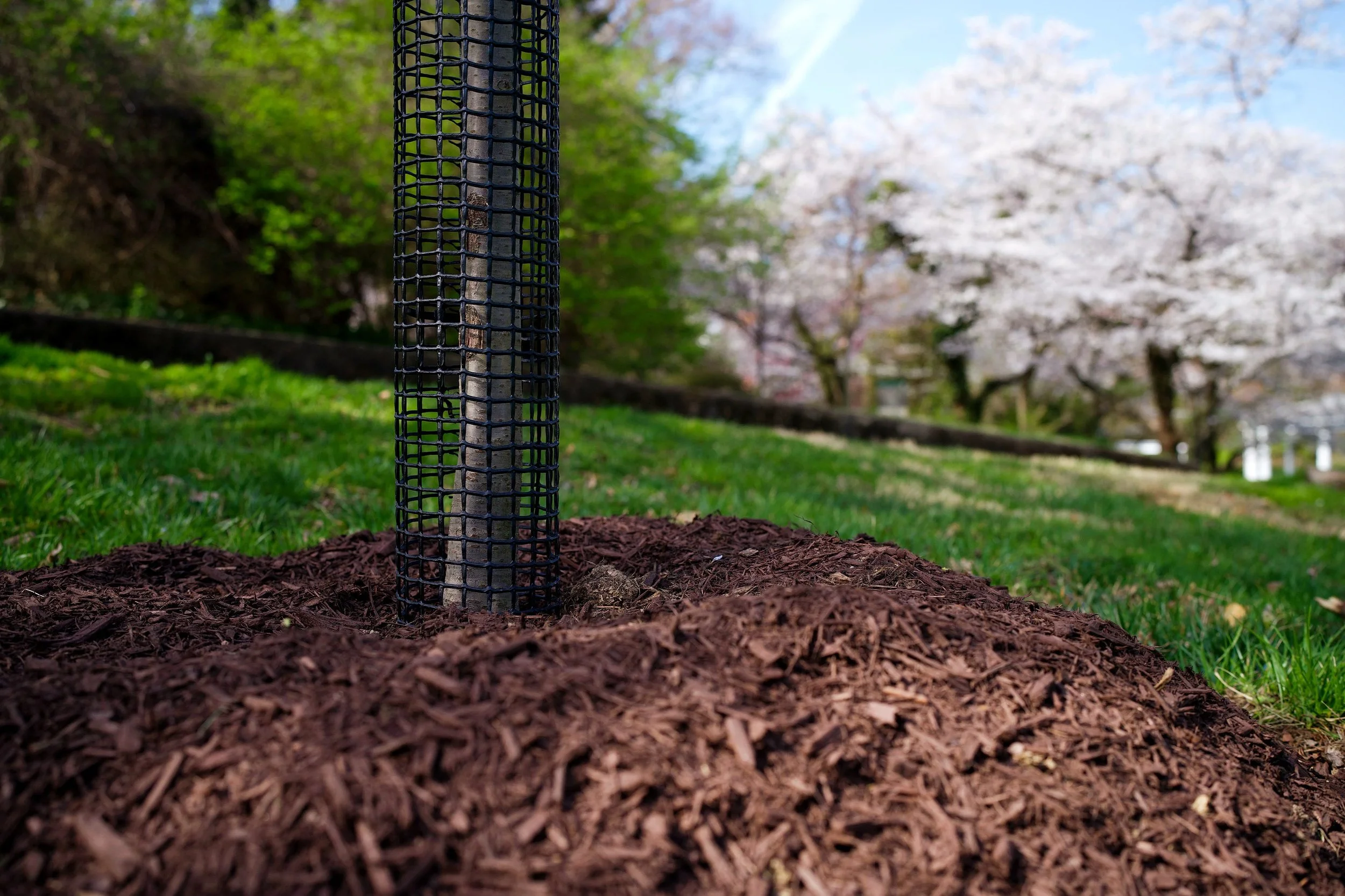 banking on better soil…