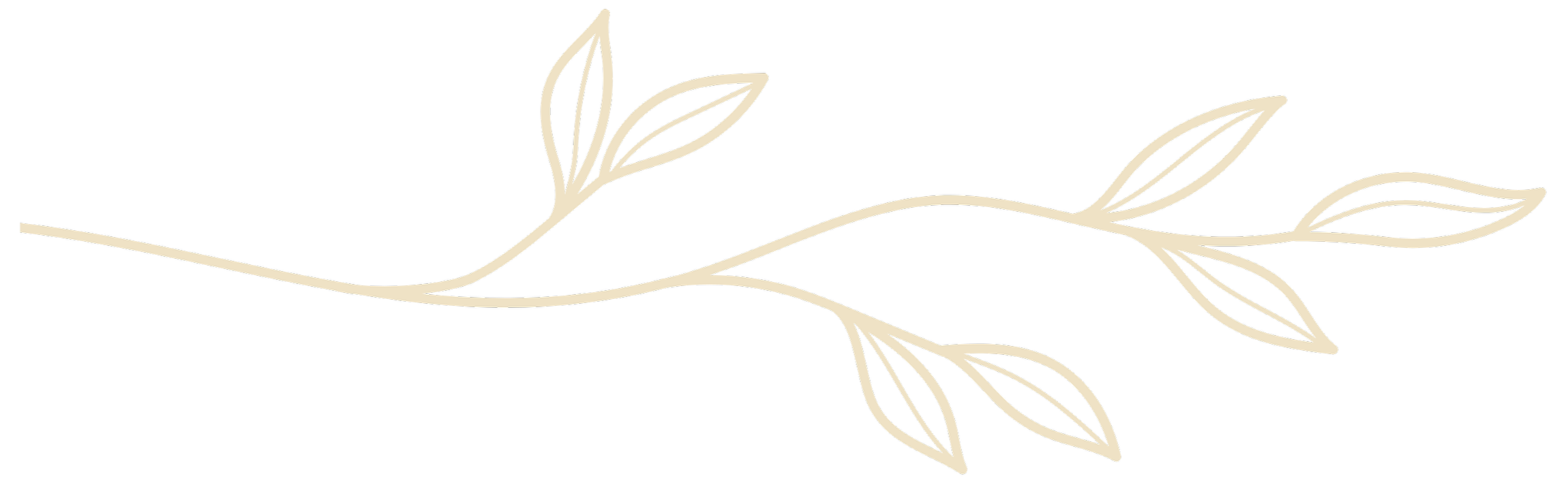 A beige, minimalist illustration of a branch with leaves on a transparent background.